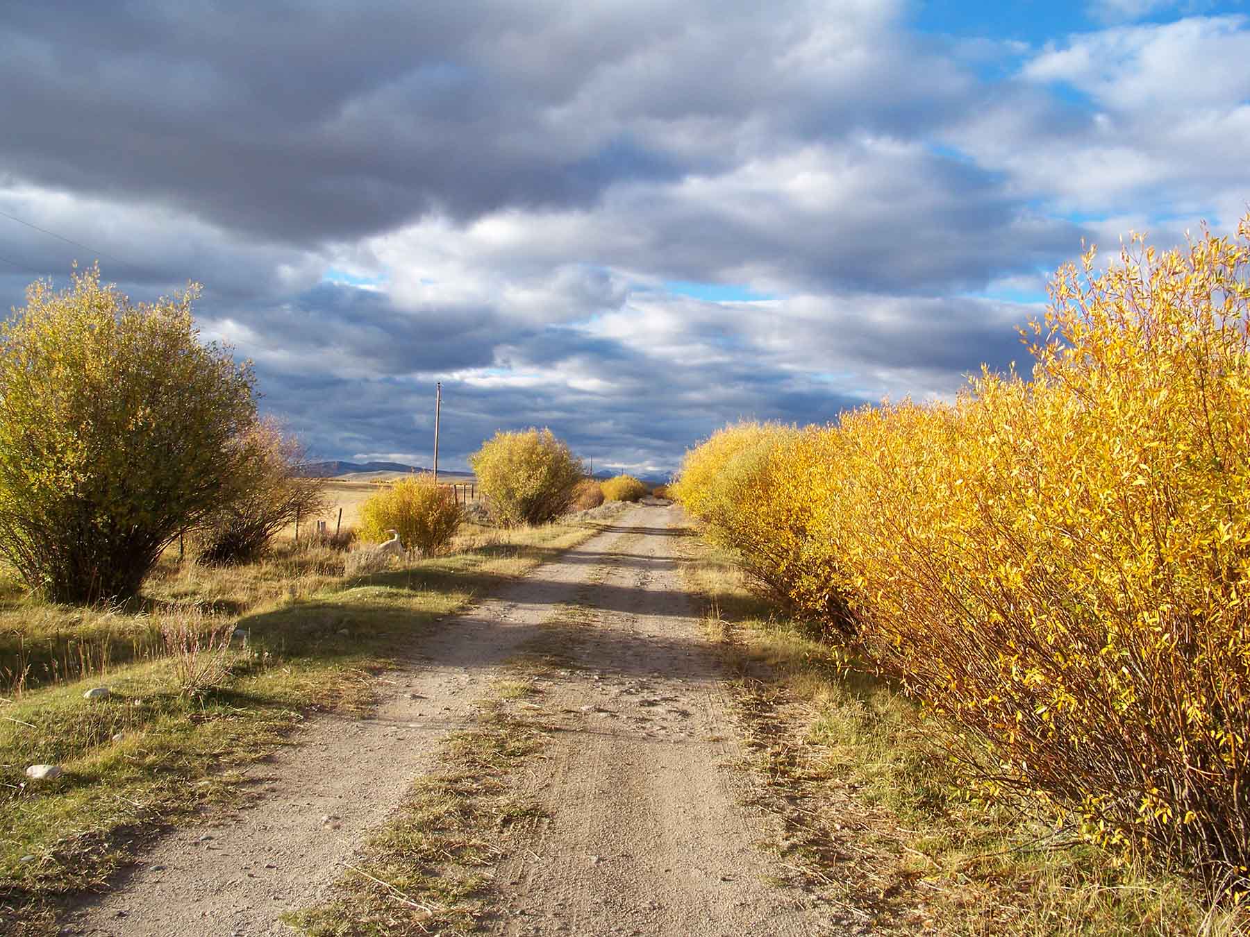 Beaver Creek Ranch property picture 49 of 68