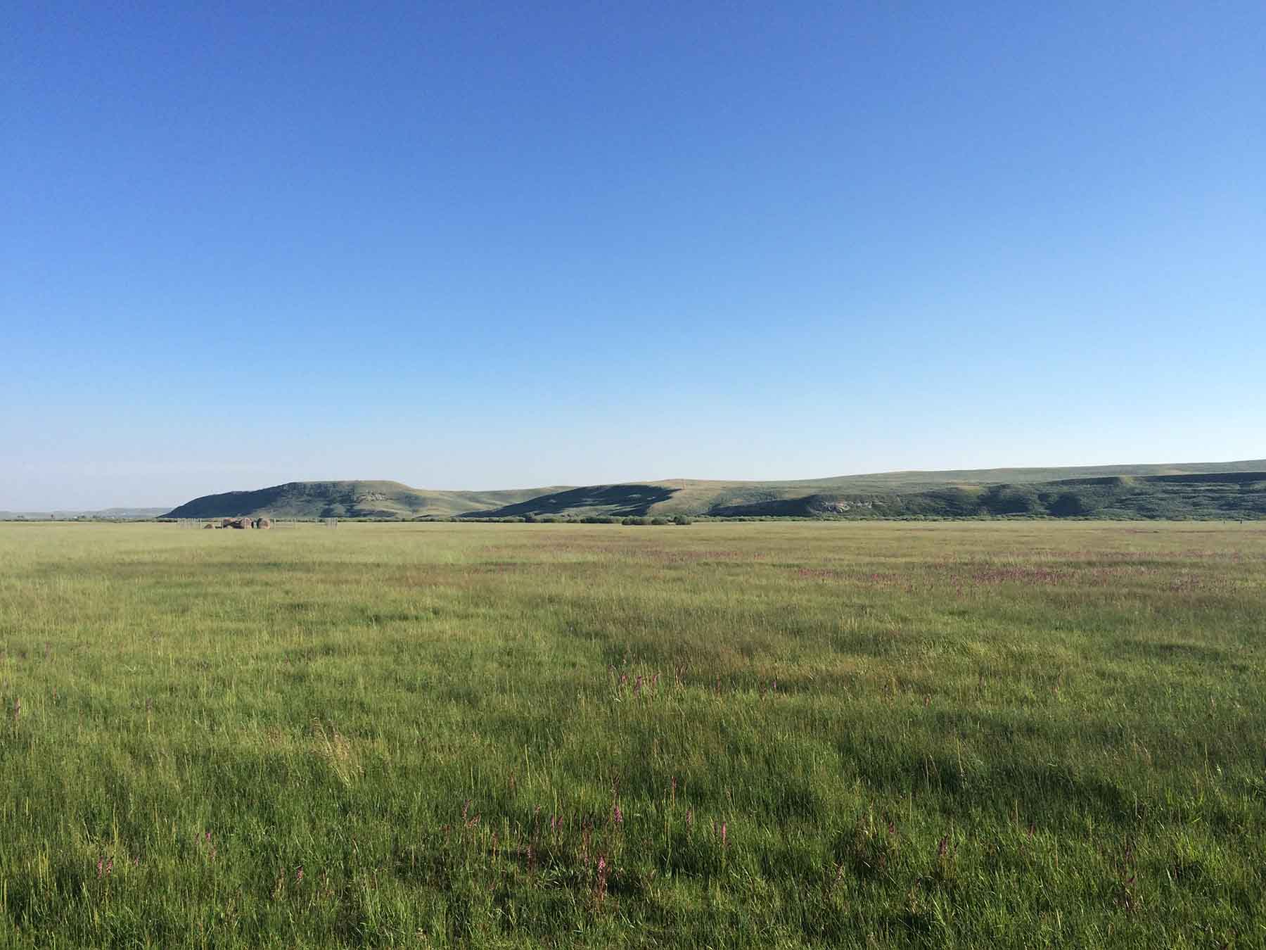 Beaver Creek Ranch property picture 50 of 68