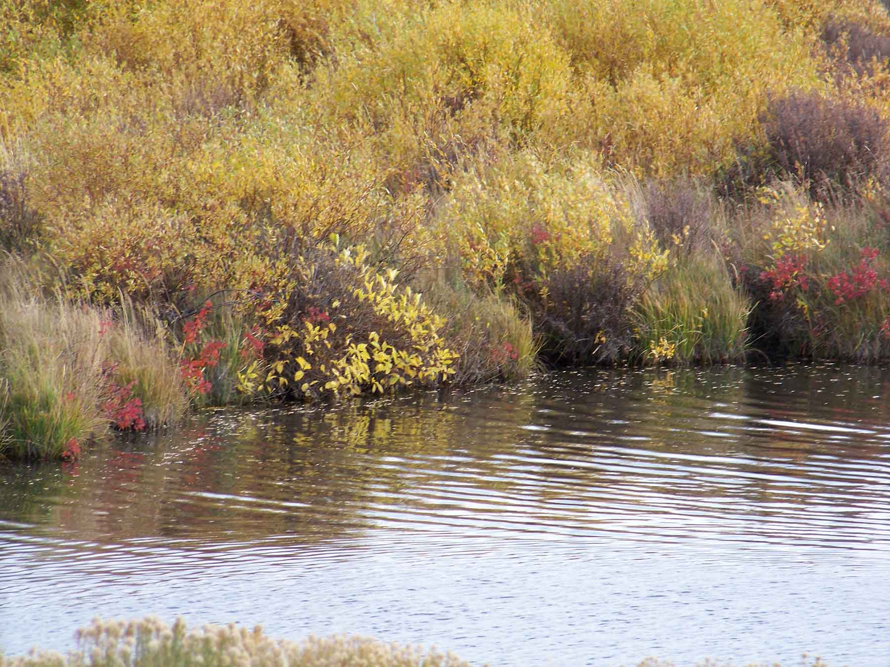 Beaver Creek Ranch property picture 9 of 68
