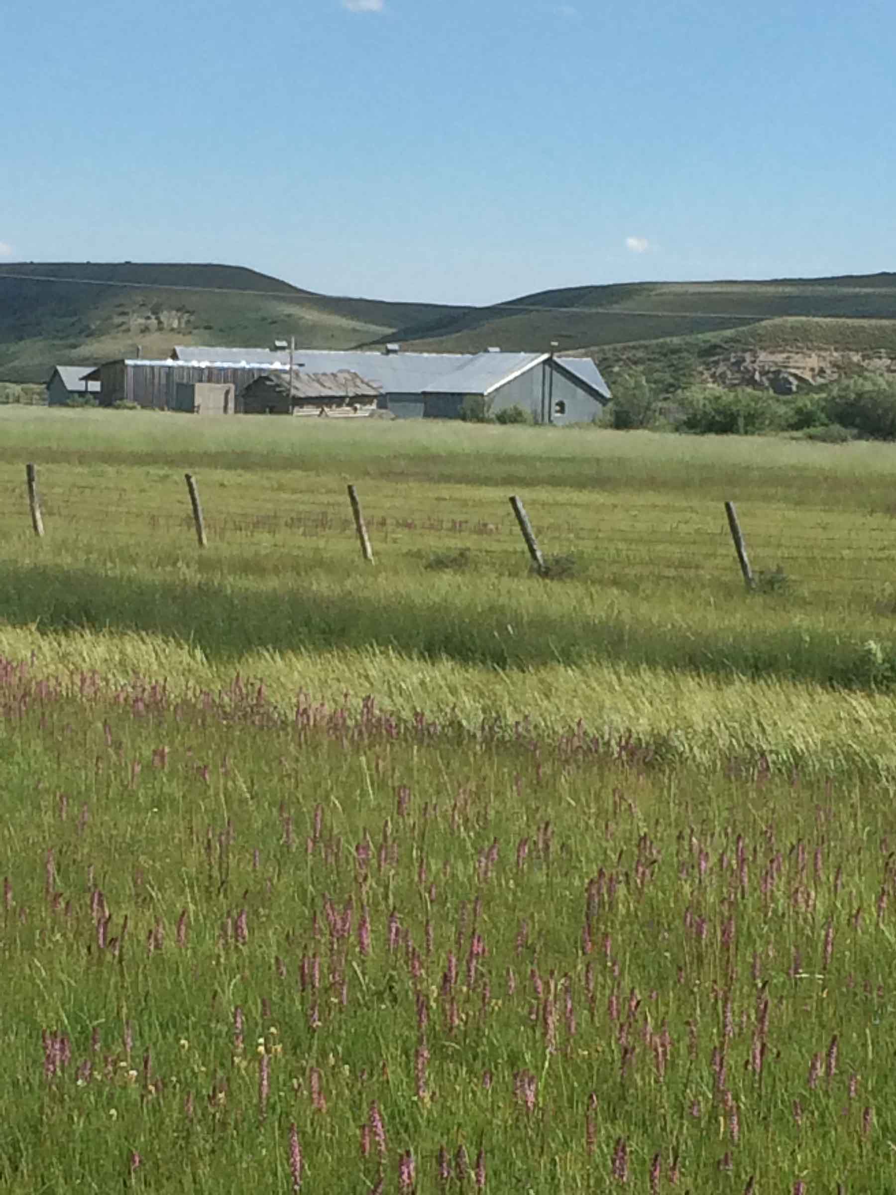 Beaver Creek Ranch property picture 54 of 68