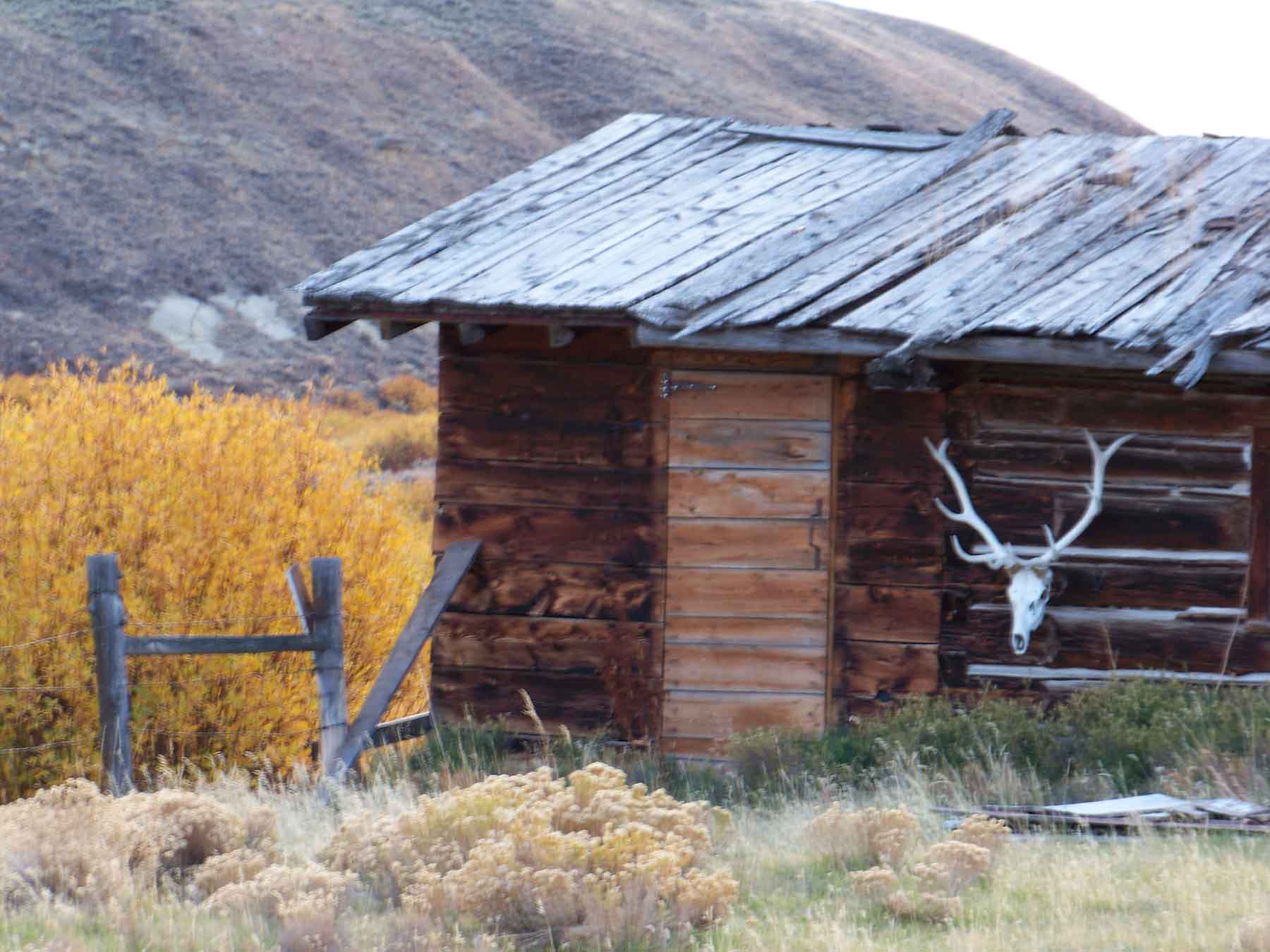 Beaver Creek Ranch property picture 11 of 68