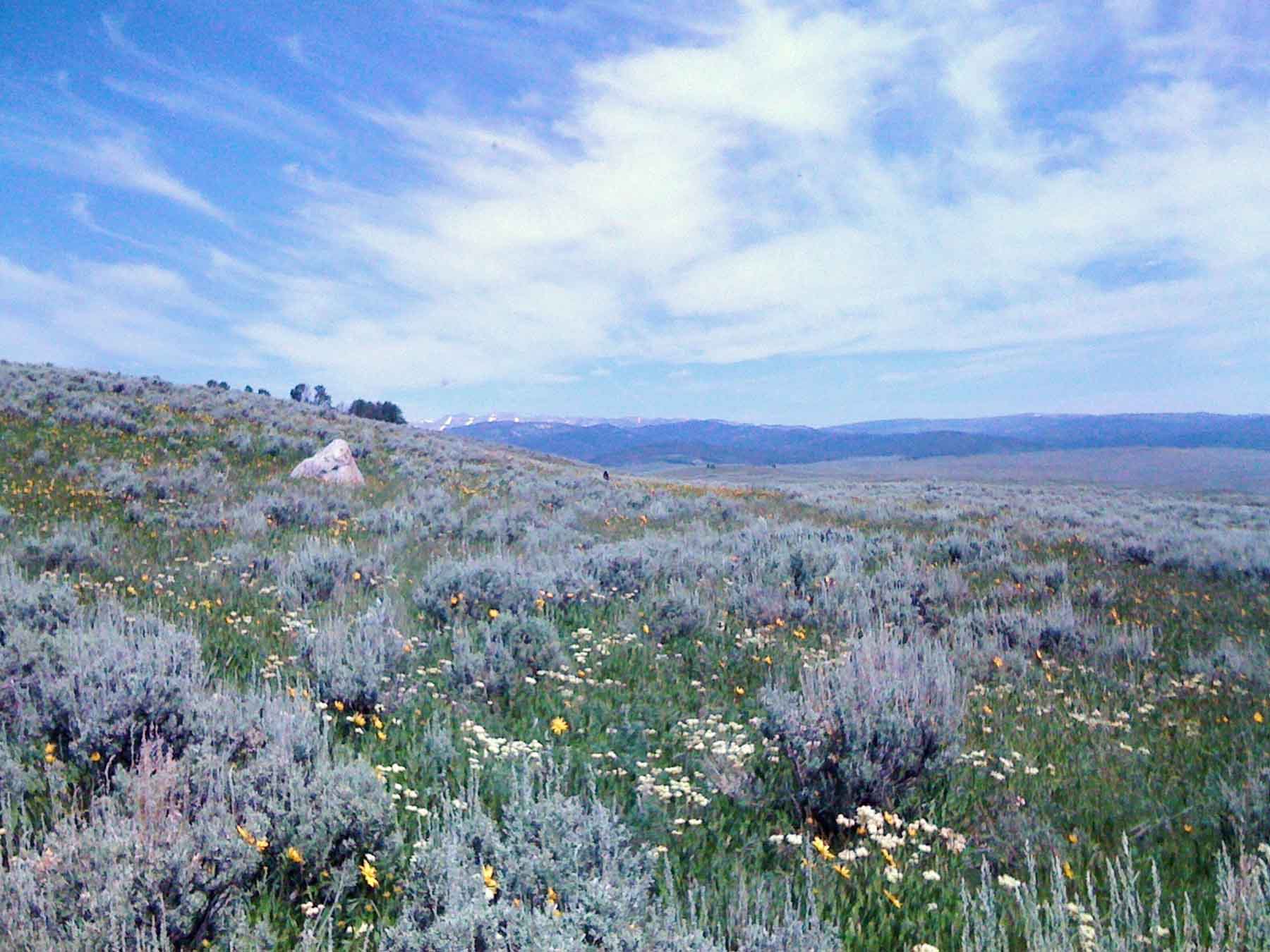 Beaver Creek Ranch property picture 33 of 68