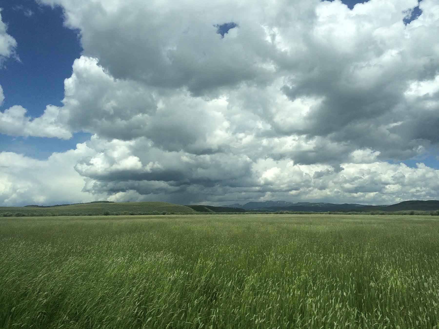 Beaver Creek Ranch property picture 34 of 68