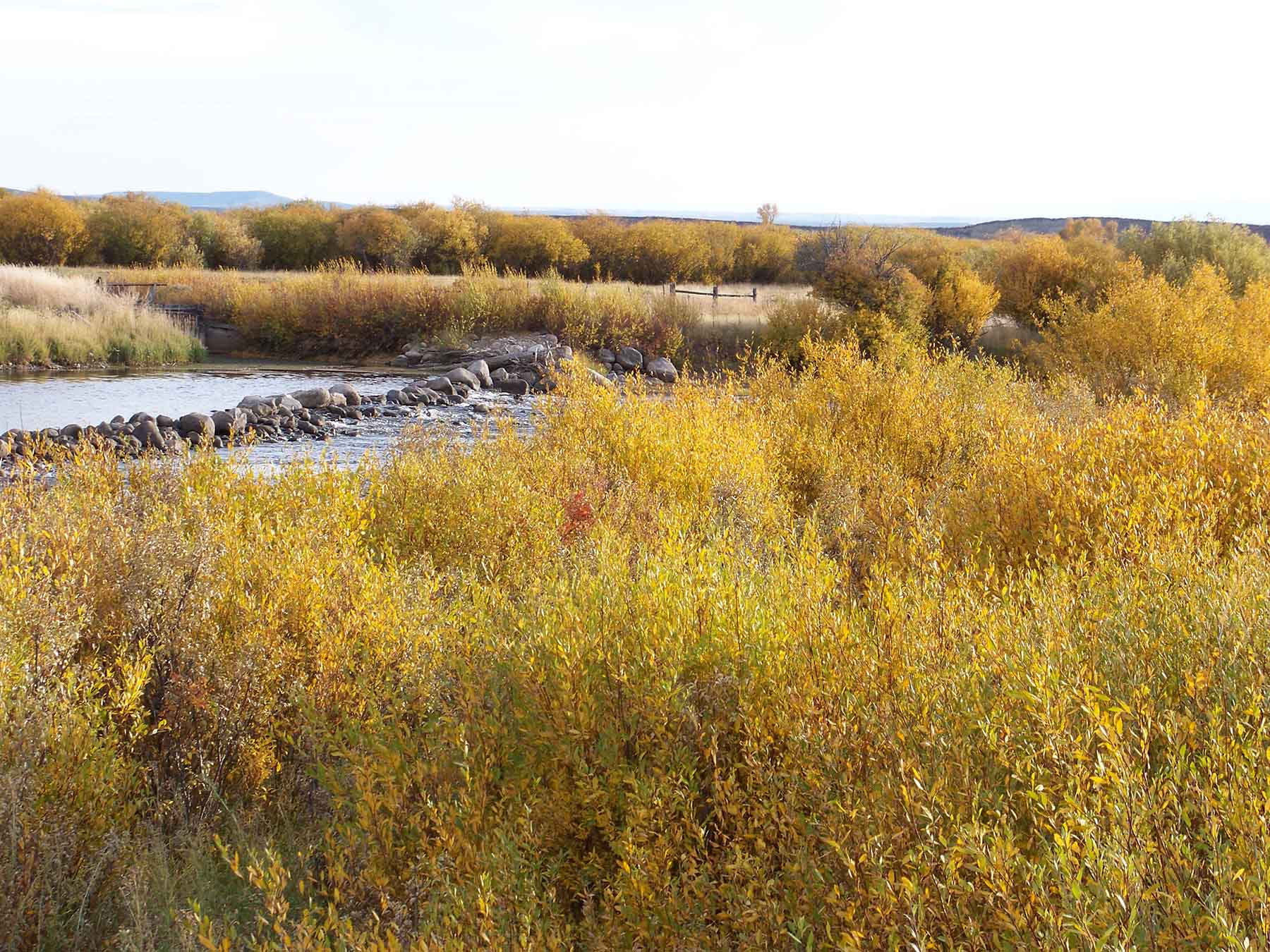 Beaver Creek Ranch property picture 25 of 68