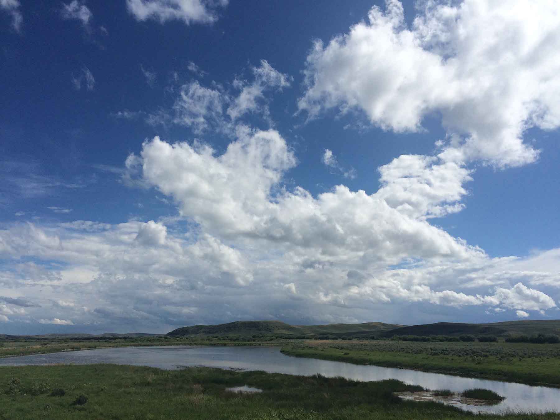 Beaver Creek Ranch property picture 42 of 68