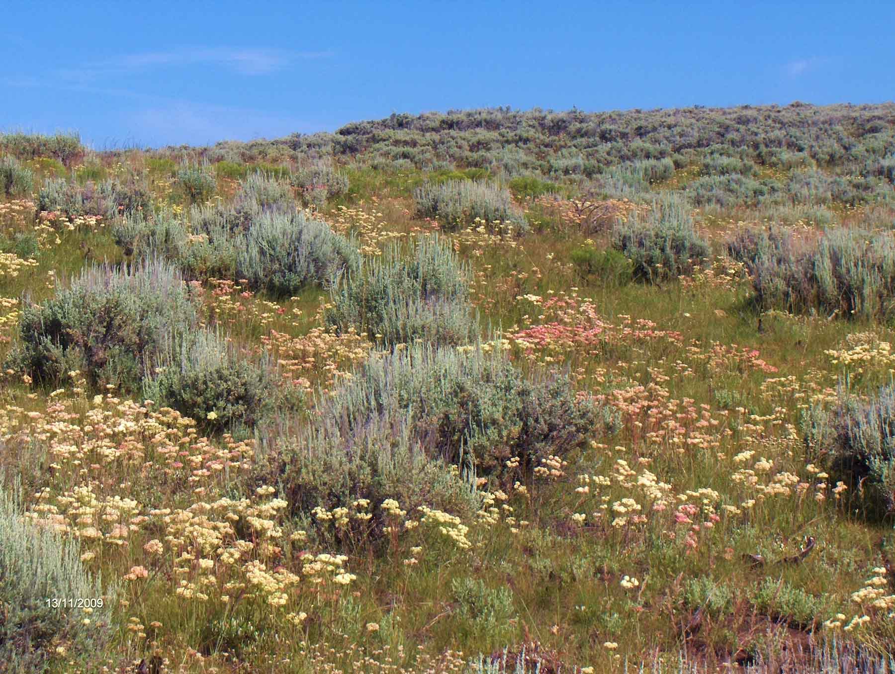 Beaver Creek Ranch property picture 55 of 68