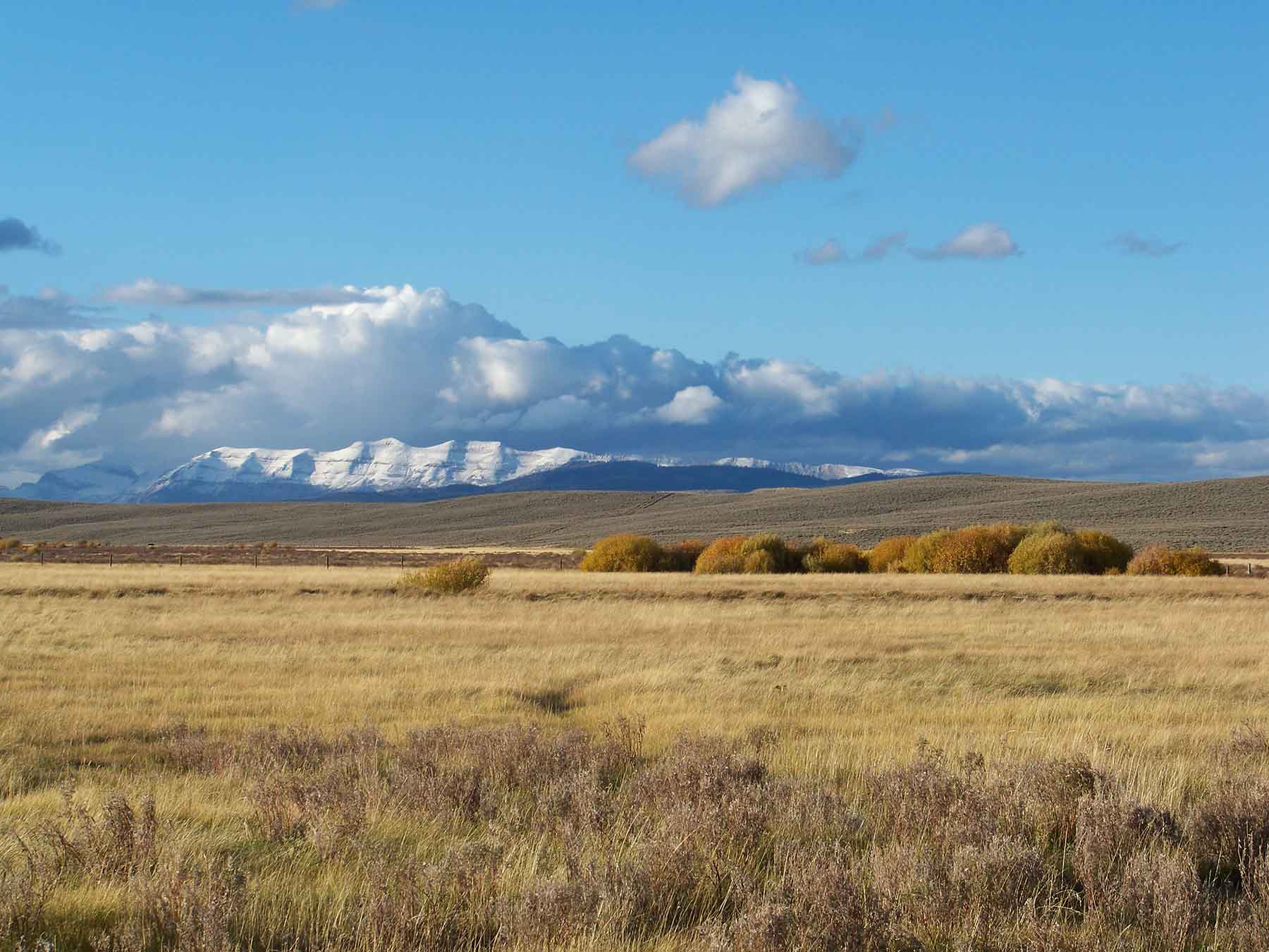 Beaver Creek Ranch property picture 46 of 68