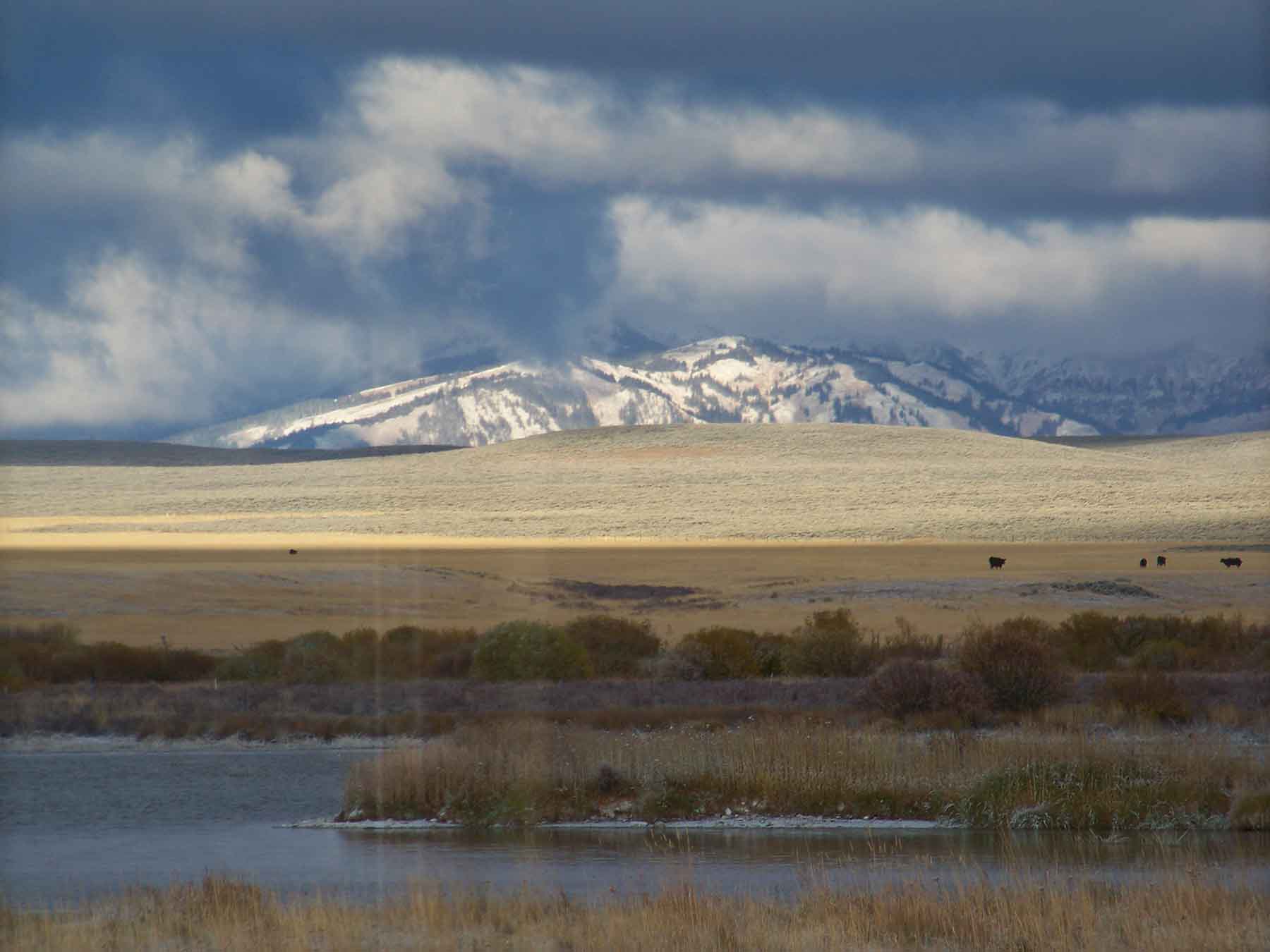 Beaver Creek Ranch property picture 39 of 68