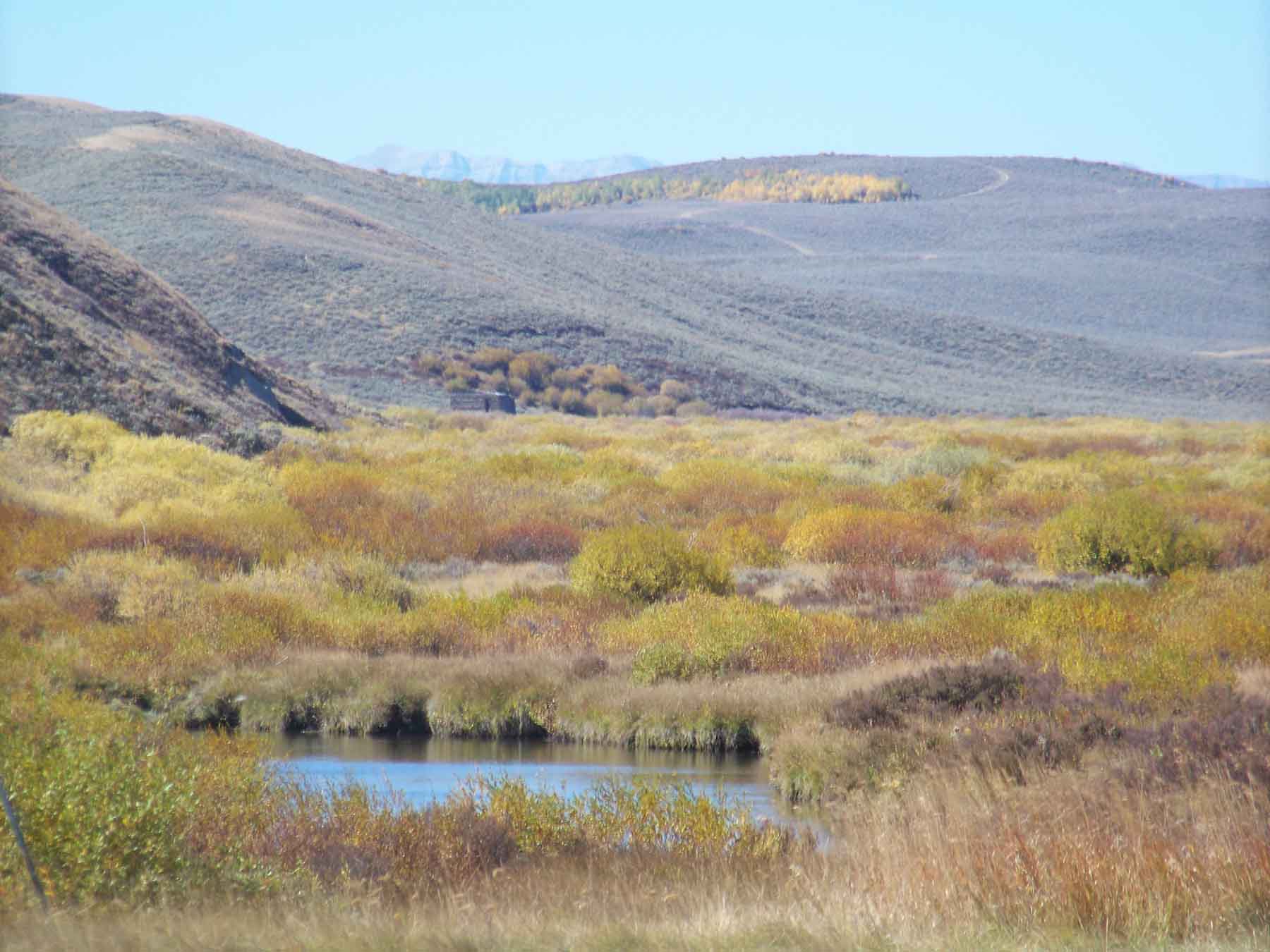 Beaver Creek Ranch property picture 32 of 68