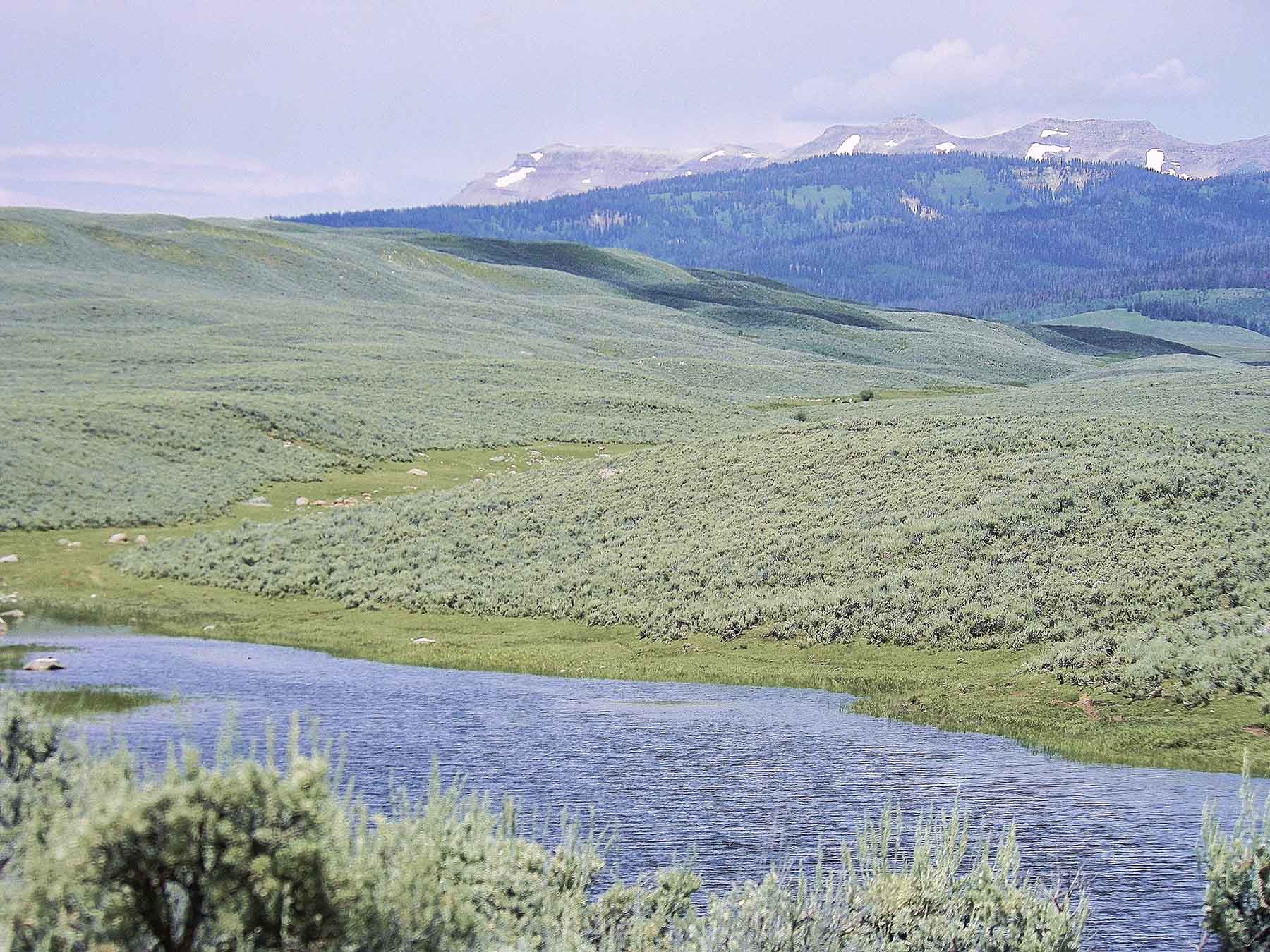 Beaver Creek Ranch property picture 36 of 68