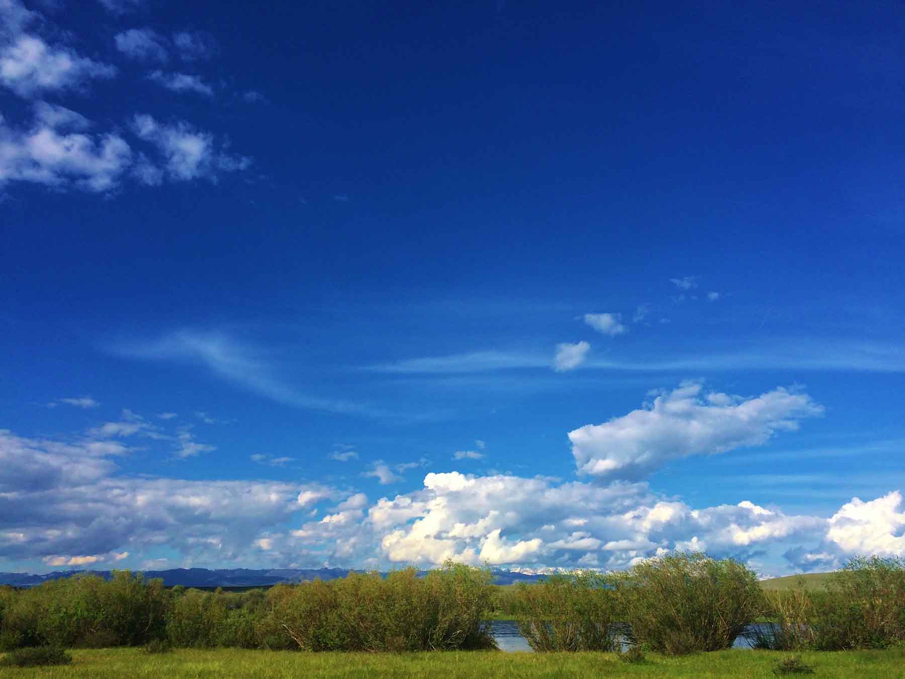 Beaver Creek Ranch property picture 3 of 68