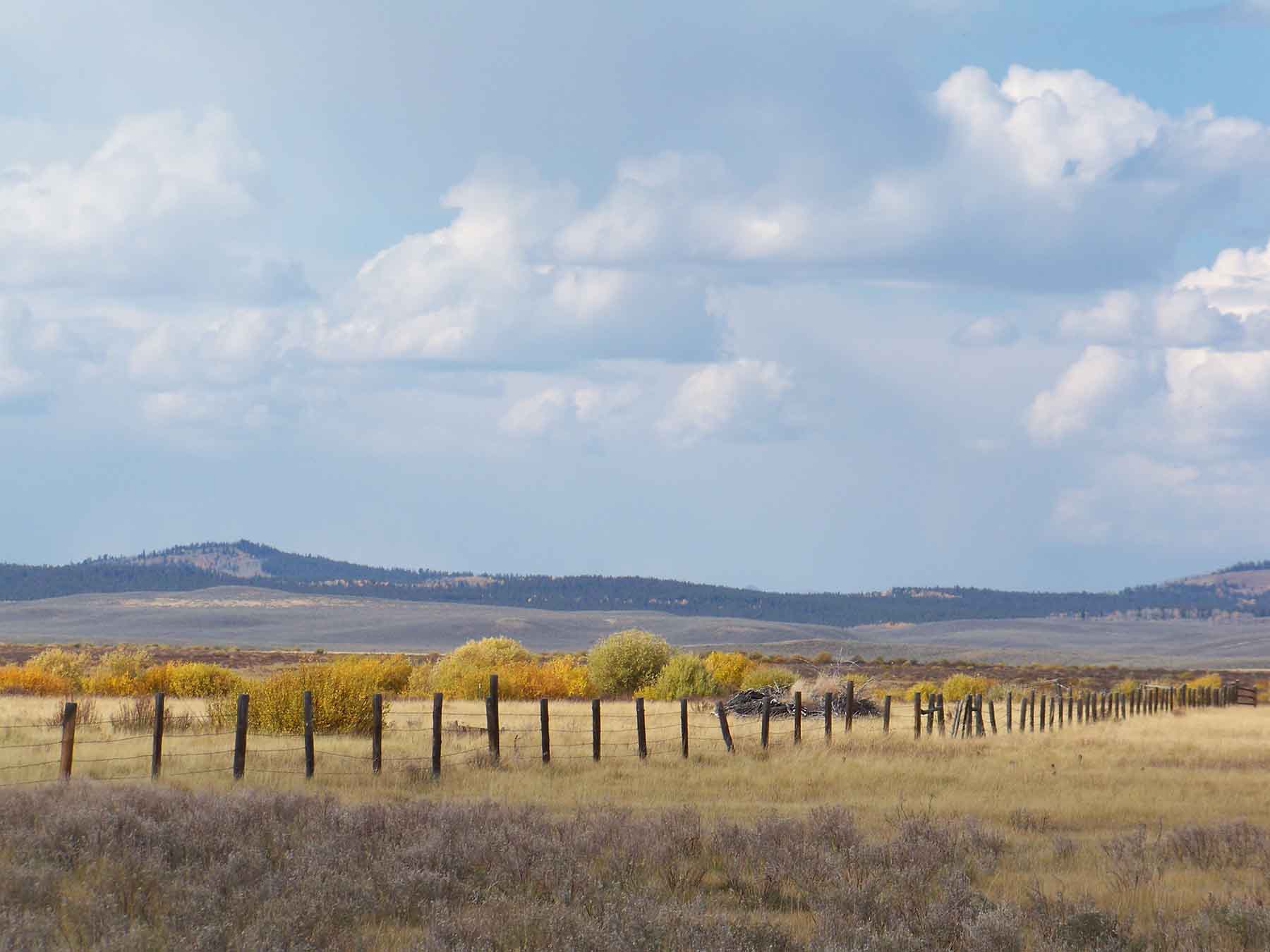 Beaver Creek Ranch property picture 7 of 68