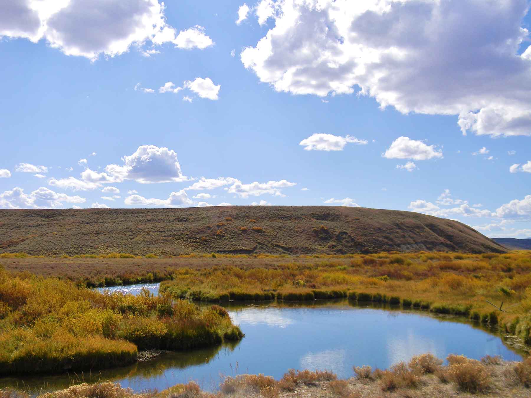 Beaver Creek Ranch property picture 65 of 68