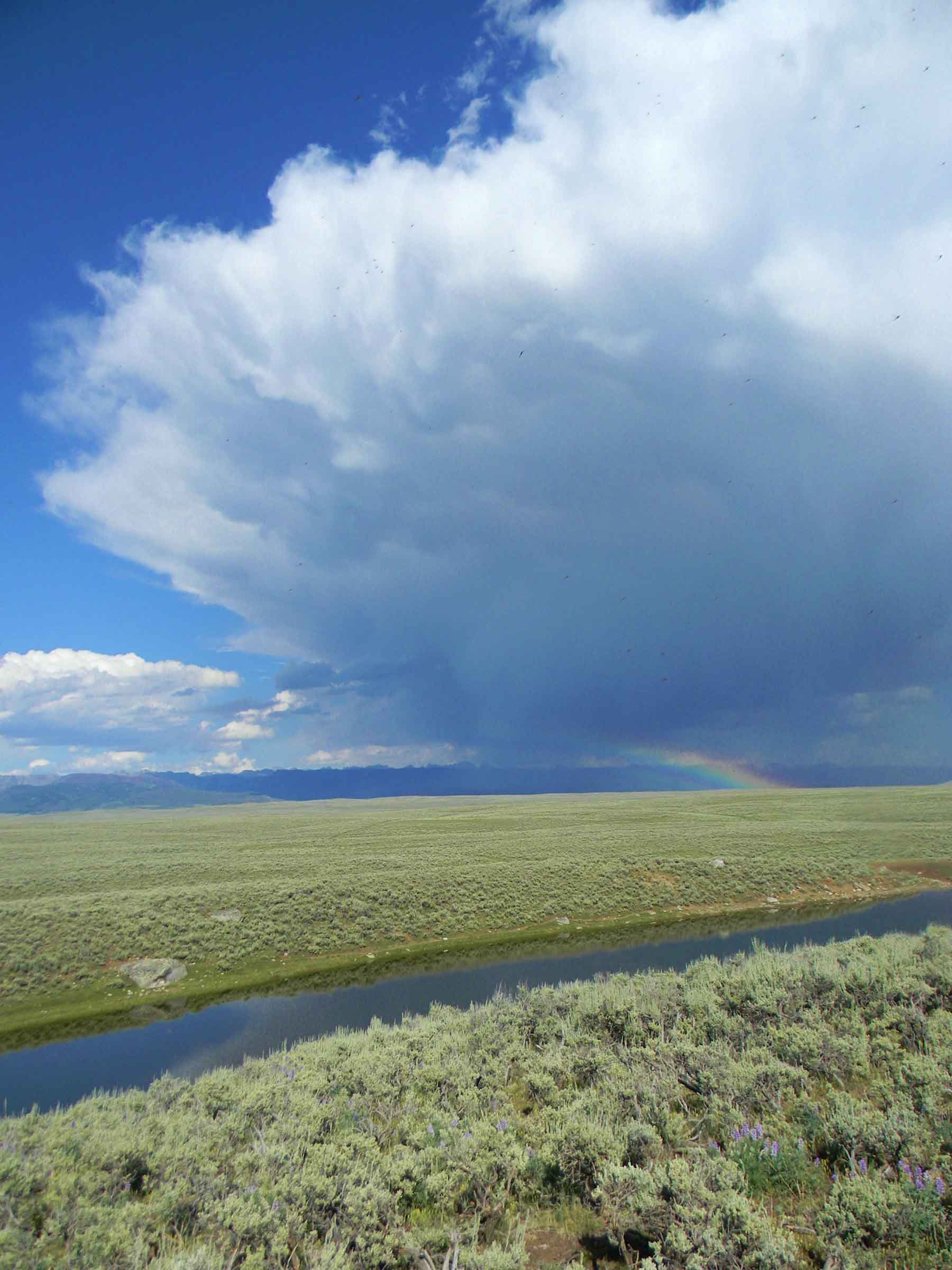 Beaver Creek Ranch property picture 51 of 68