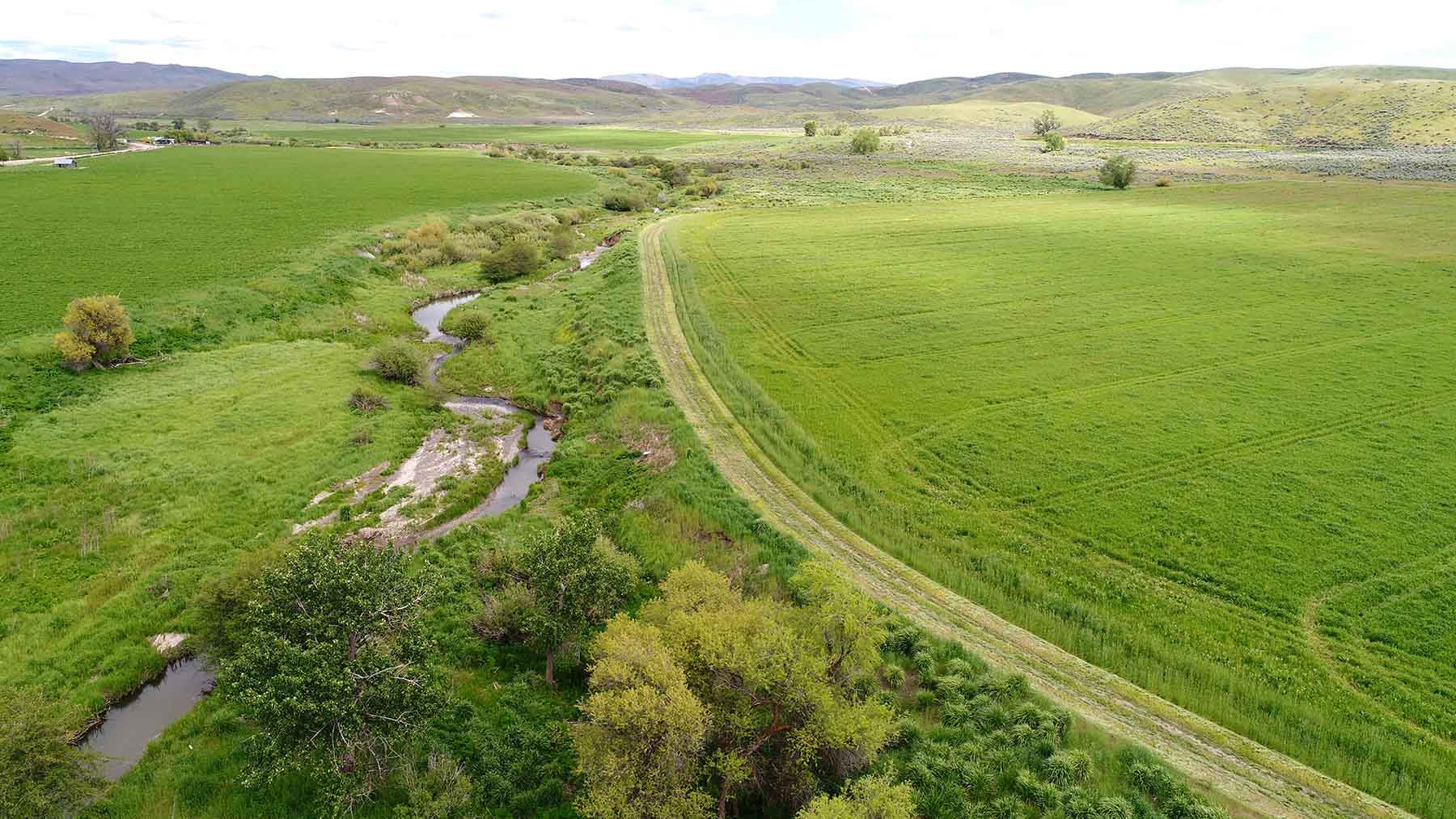 Little Willow Creek Ranch property picture 3 of 86