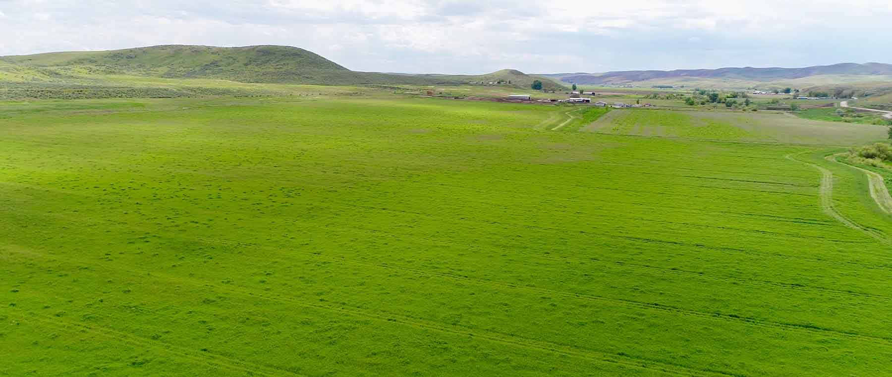 Little Willow Creek Ranch property picture 4 of 86