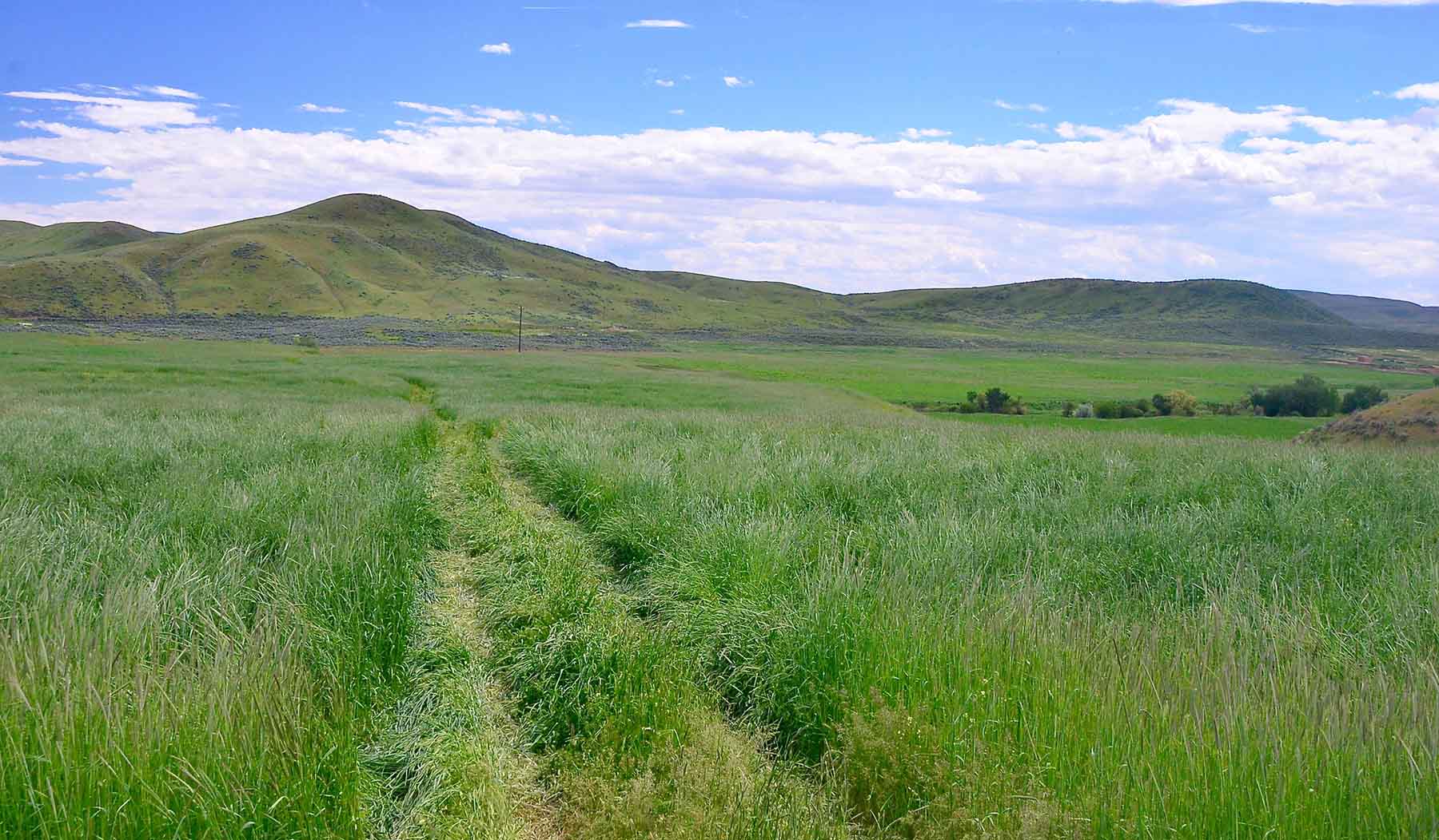 Little Willow Creek Ranch property picture 6 of 86