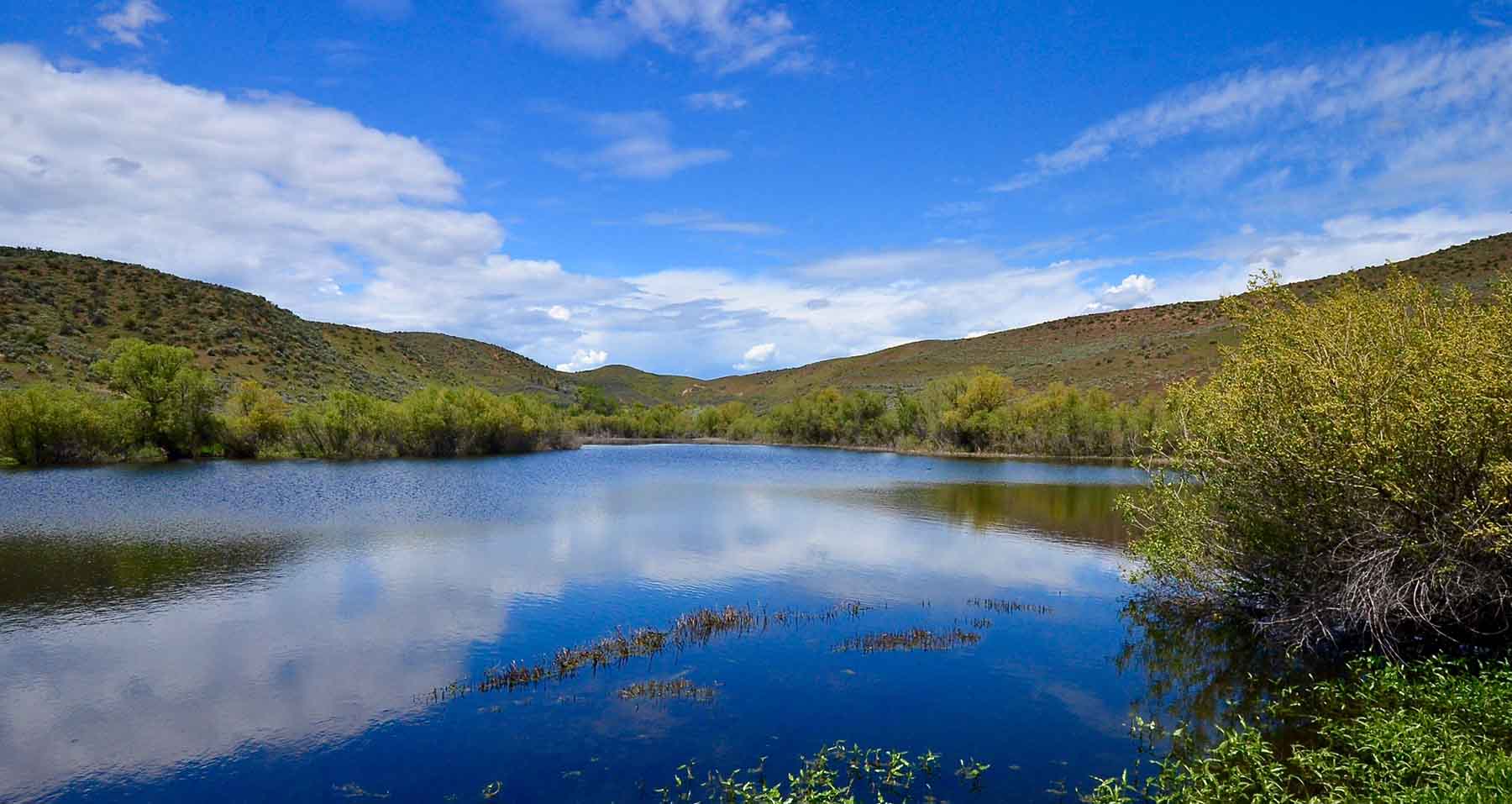 Little Willow Creek Ranch property picture 8 of 86