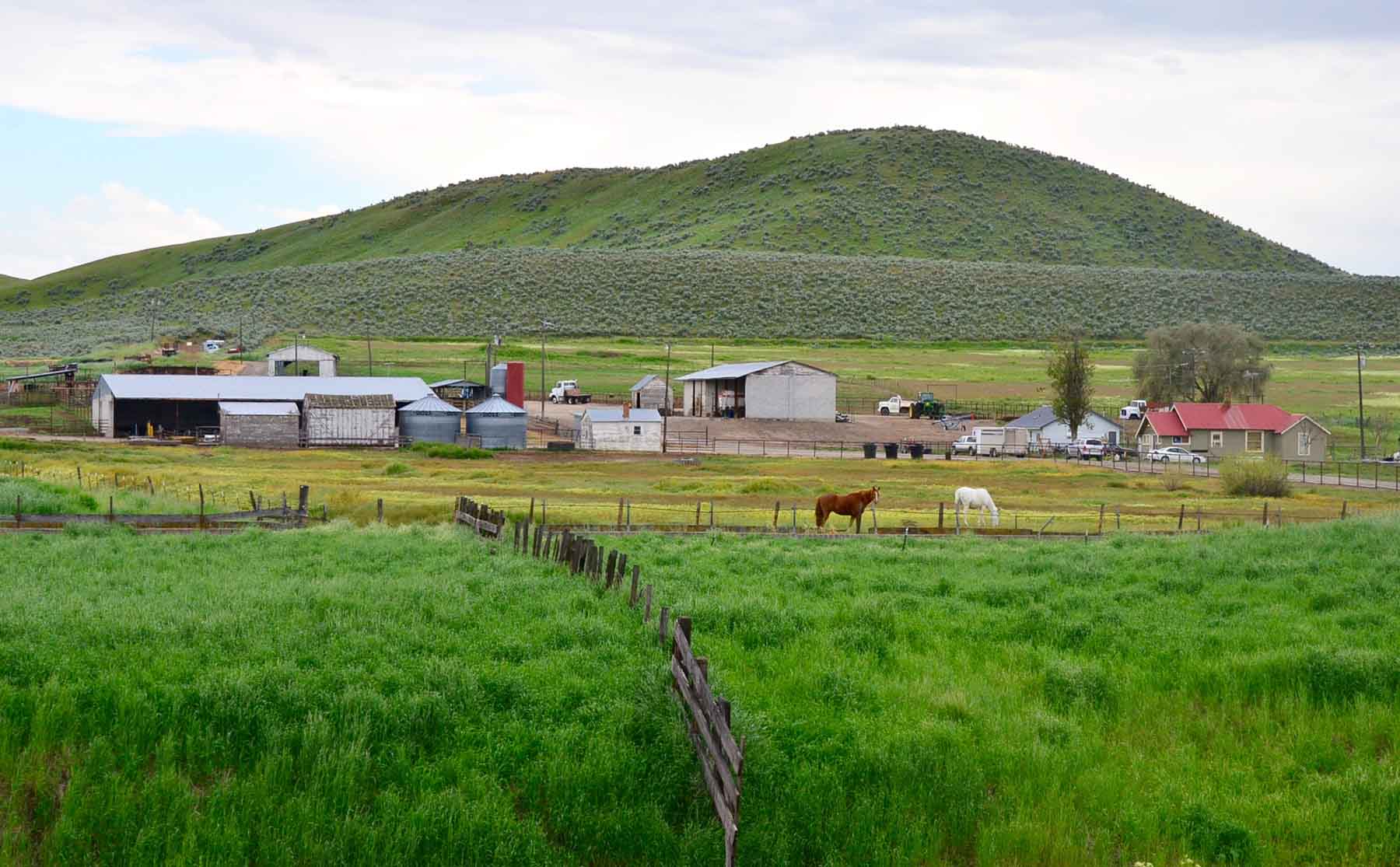 Little Willow Creek Ranch property picture 13 of 86