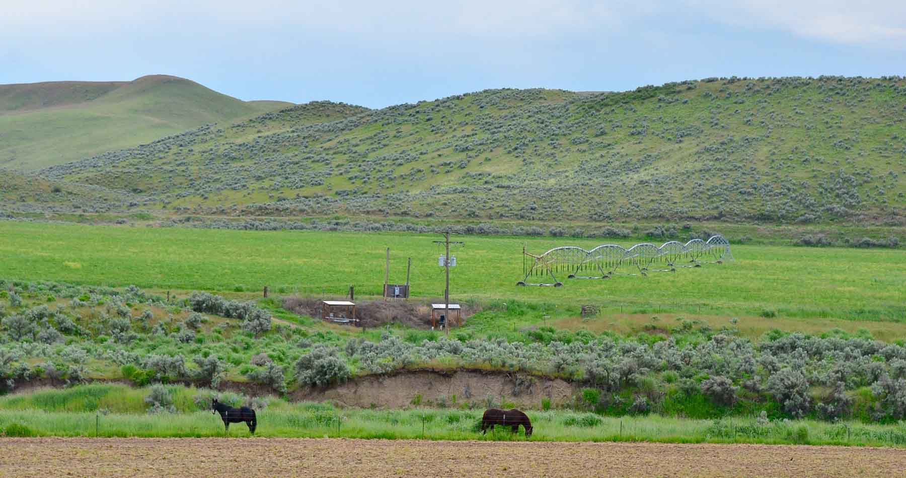 Little Willow Creek Ranch property picture 14 of 86