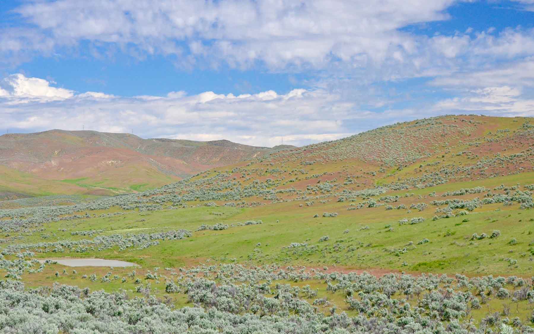 Little Willow Creek Ranch property picture 15 of 86