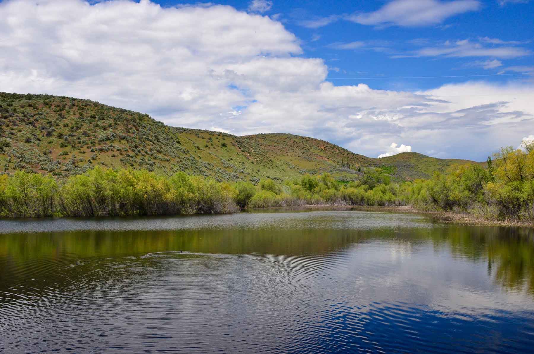 Little Willow Creek Ranch property picture 16 of 86