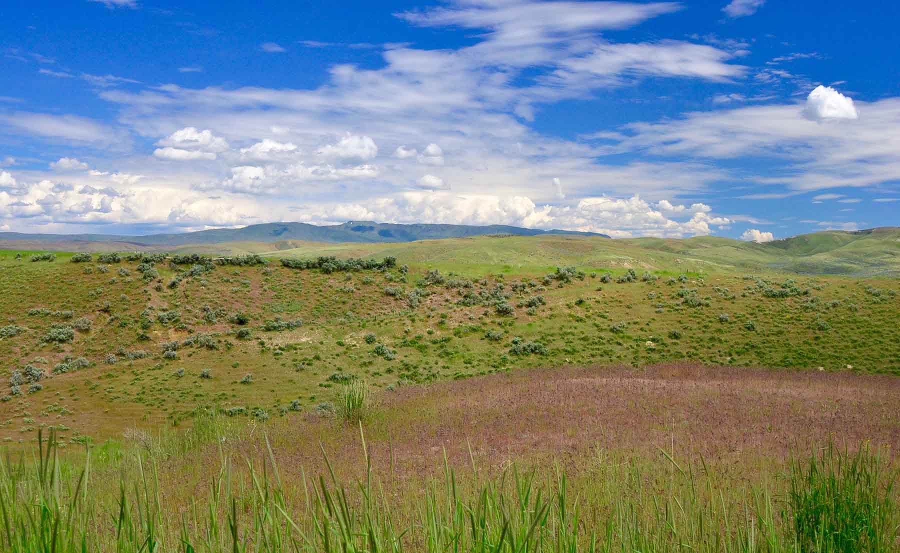 Little Willow Creek Ranch property picture 17 of 86