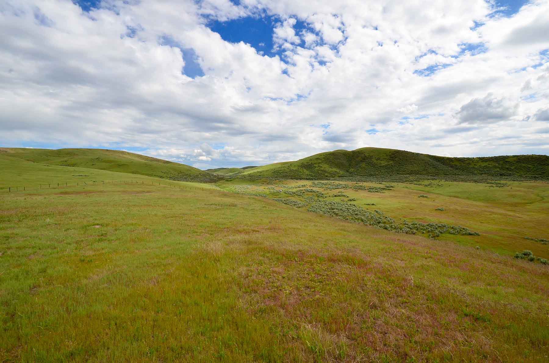 Little Willow Creek Ranch property picture 19 of 86