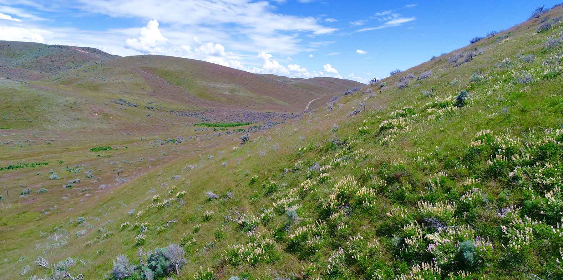 Little Willow Creek Ranch property picture 21 of 86