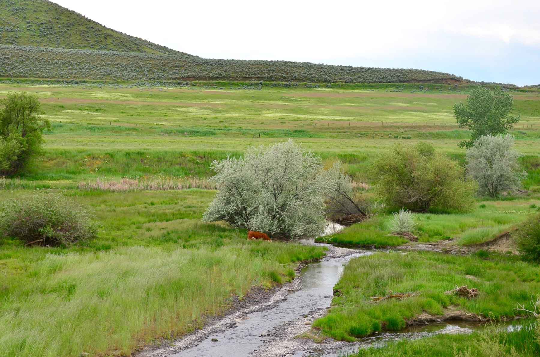 Little Willow Creek Ranch property picture 22 of 86