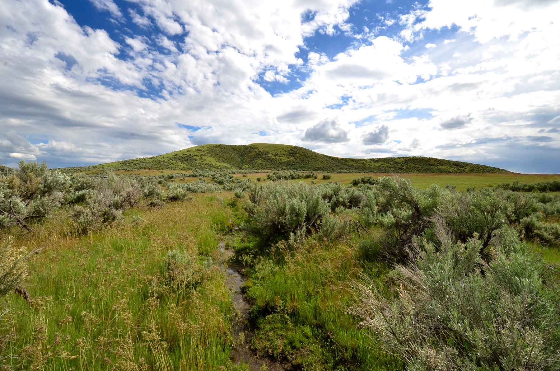 Little Willow Creek Ranch property picture 23 of 86