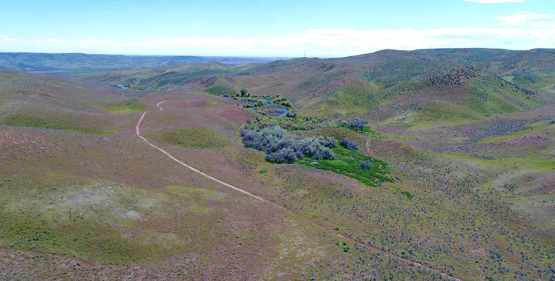 Little Willow Creek Ranch property picture 25 of 86