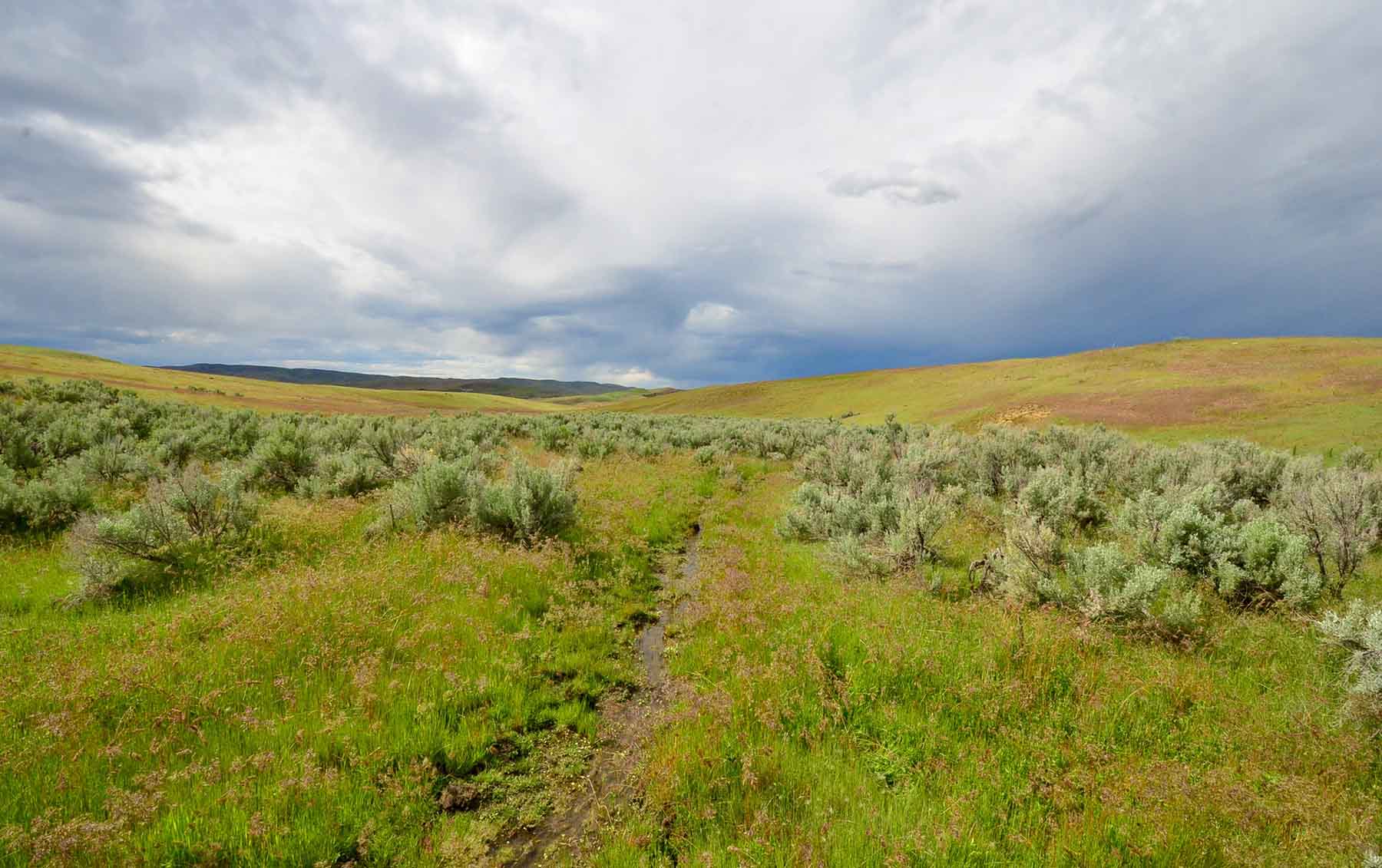 Little Willow Creek Ranch property picture 26 of 86