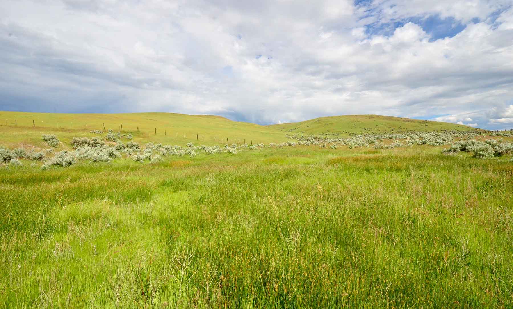 Little Willow Creek Ranch property picture 28 of 86