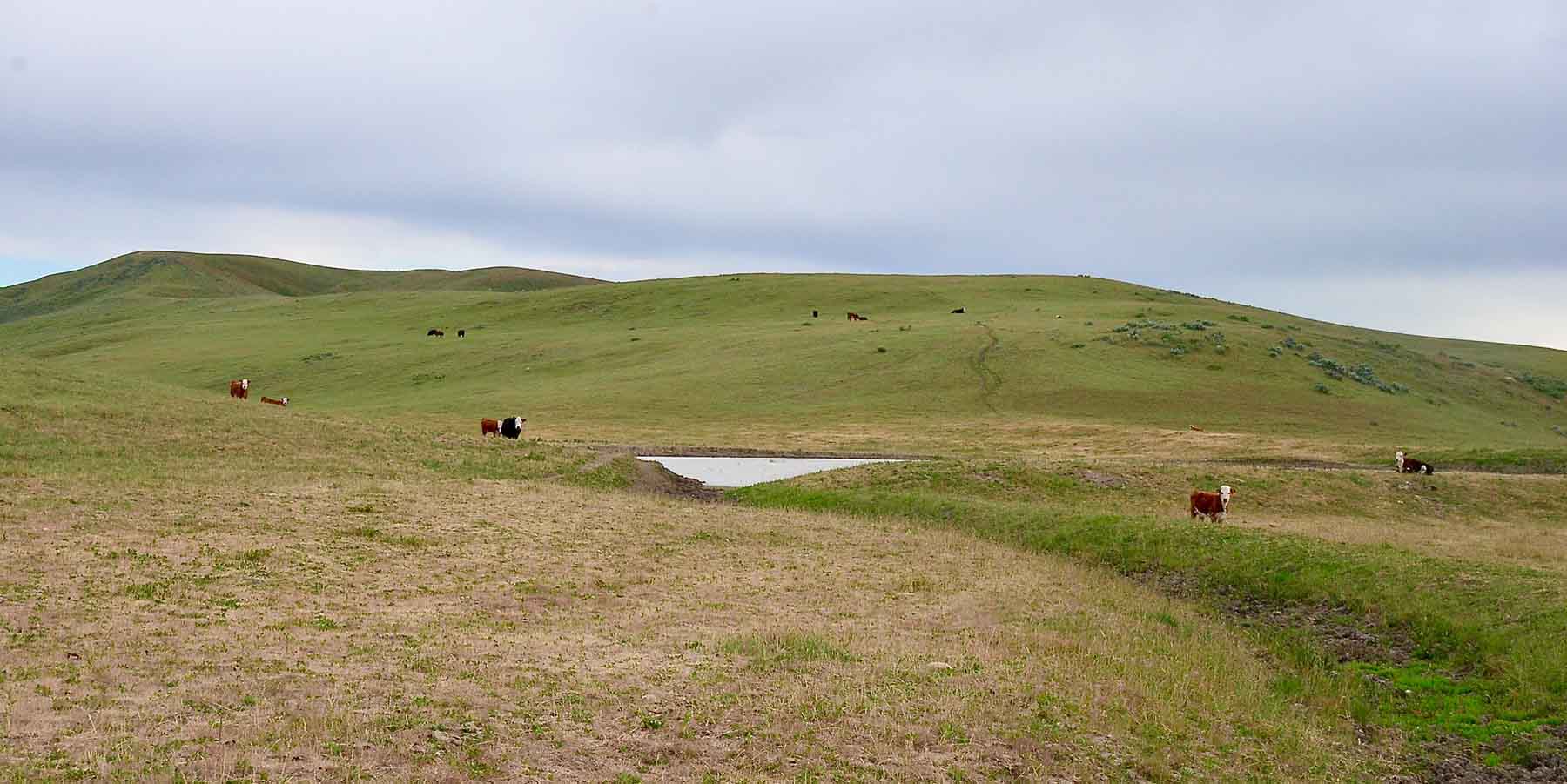 Little Willow Creek Ranch property picture 29 of 86