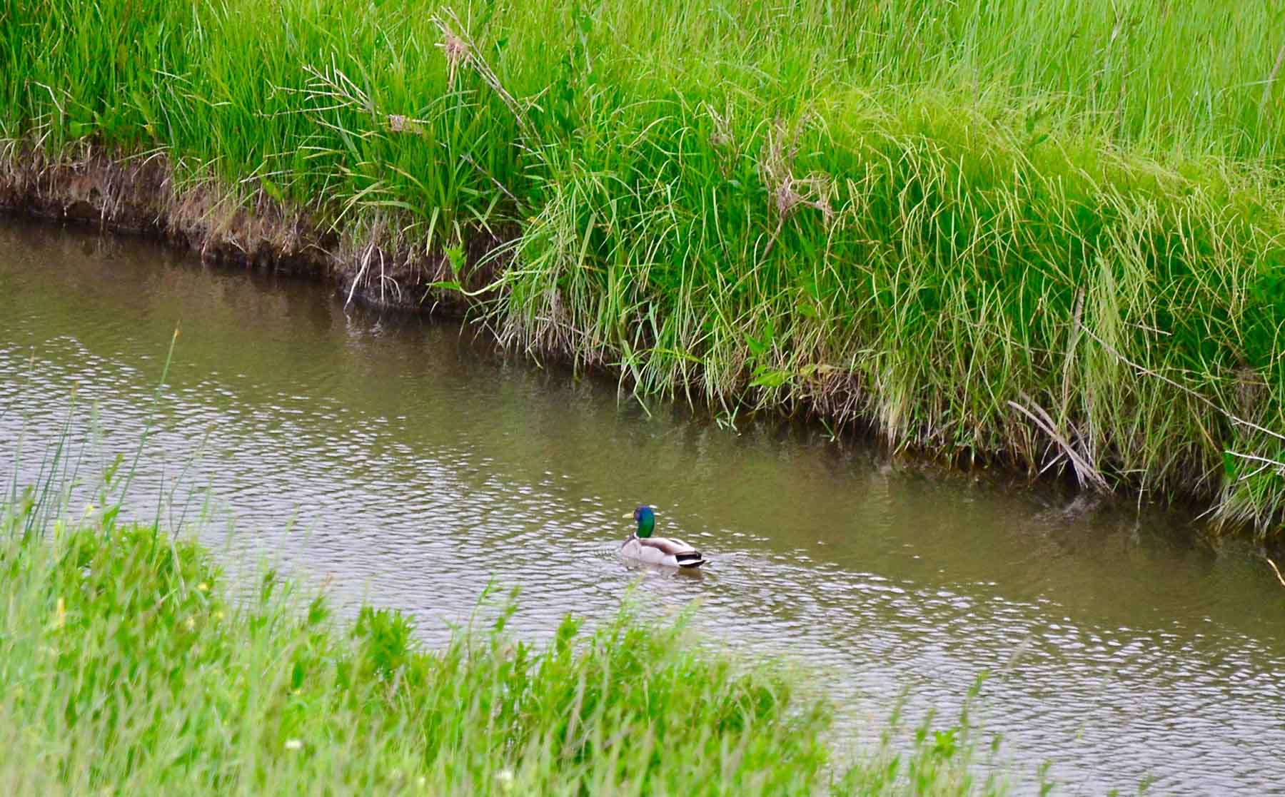 Little Willow Creek Ranch property picture 32 of 86