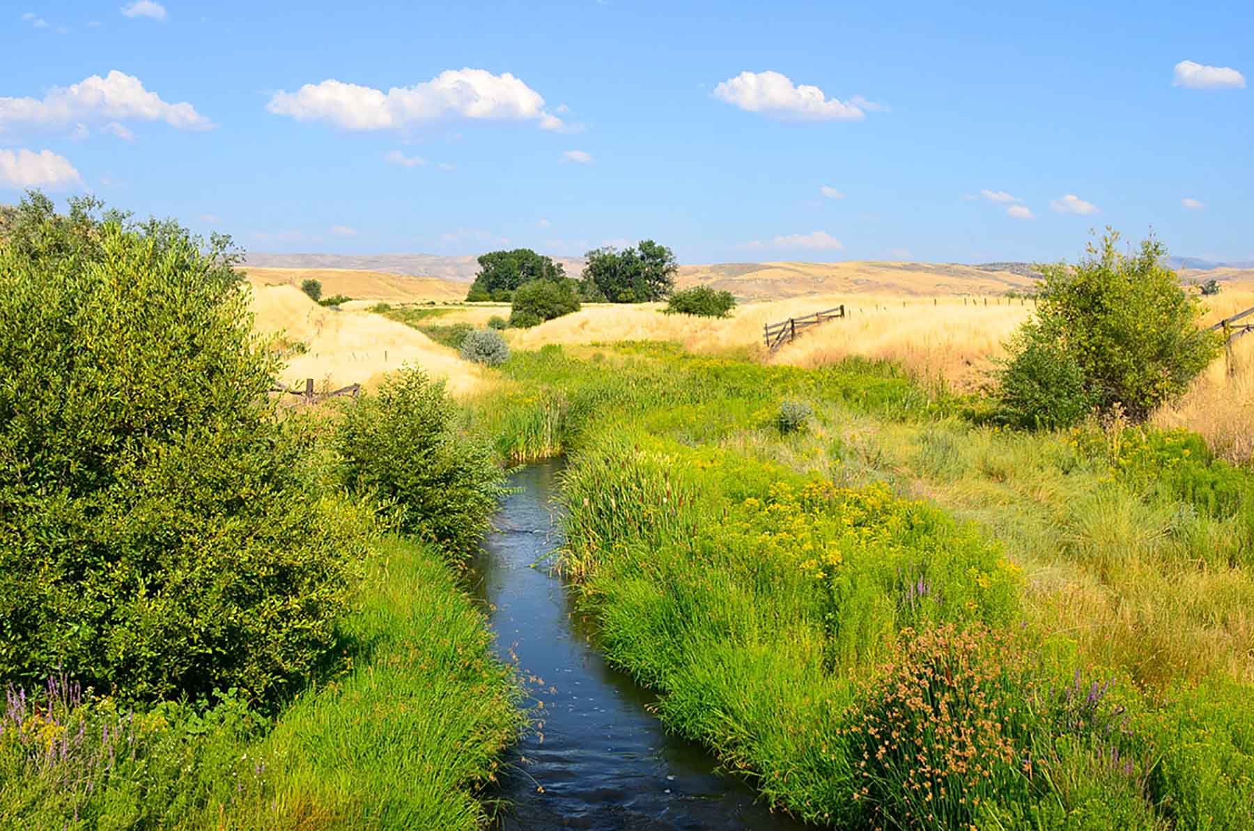 Little Willow Creek Ranch property picture 36 of 86