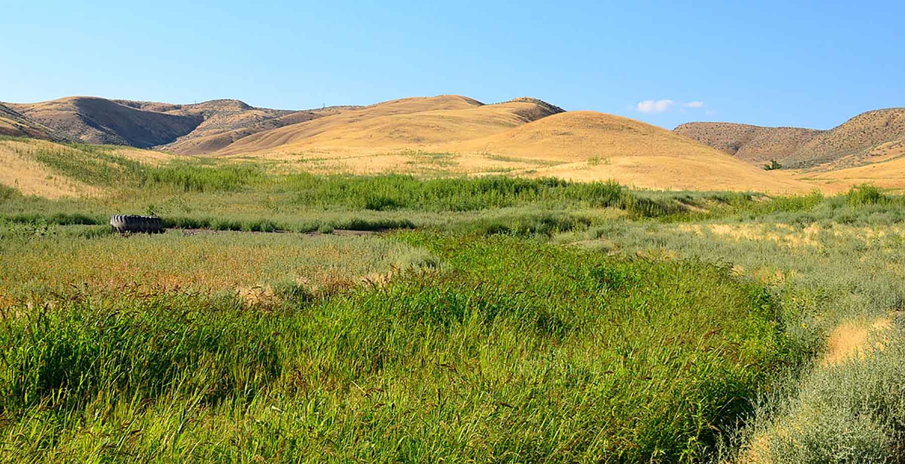 Little Willow Creek Ranch property picture 37 of 86