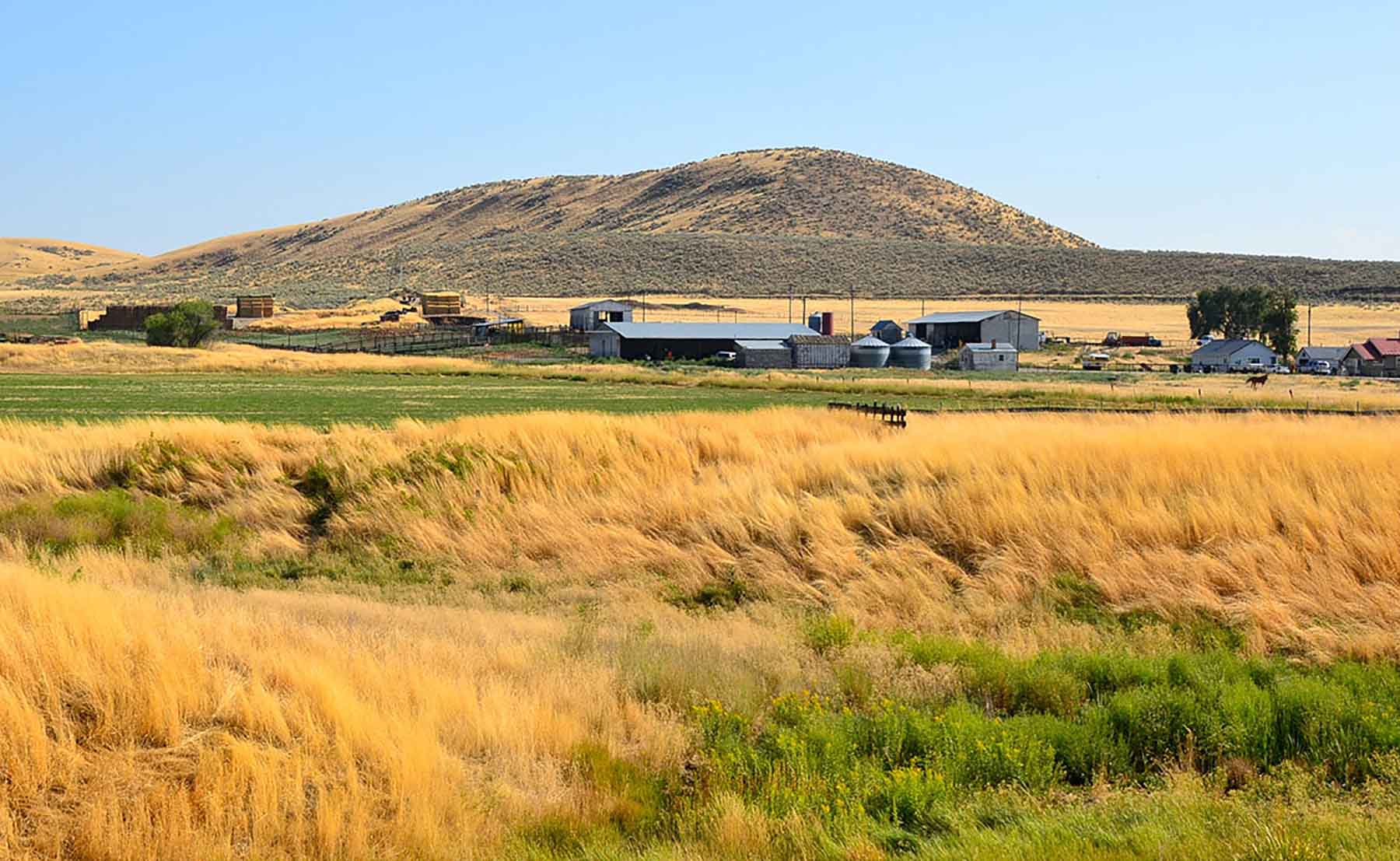 Little Willow Creek Ranch property picture 38 of 86