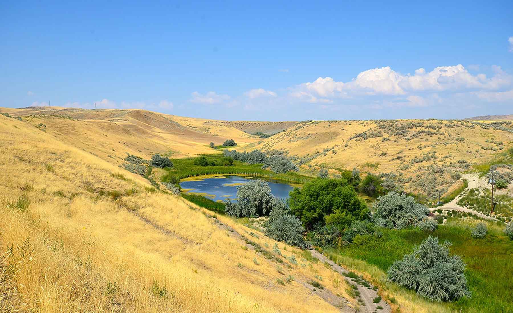 Little Willow Creek Ranch property picture 39 of 86