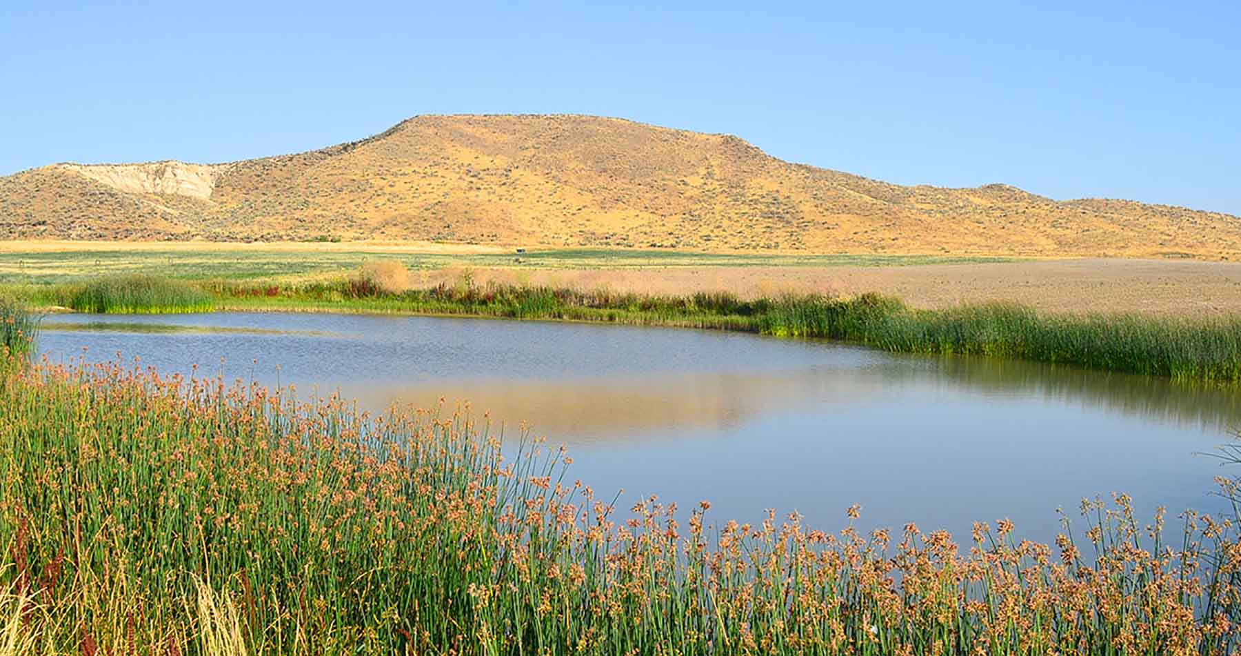 Little Willow Creek Ranch property picture 40 of 86