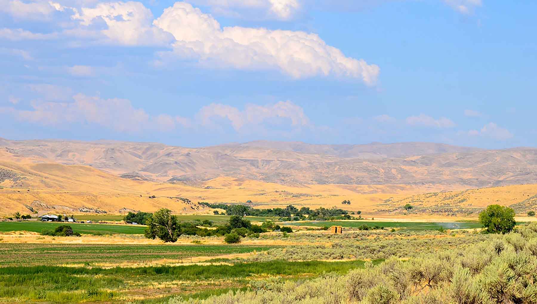 Little Willow Creek Ranch property picture 41 of 86