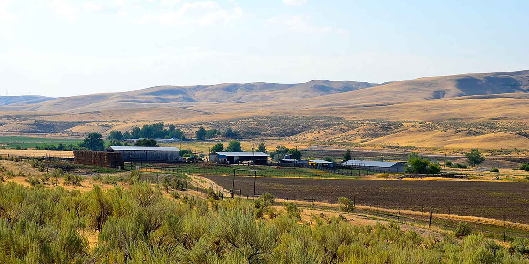 Little Willow Creek Ranch property picture 42 of 86