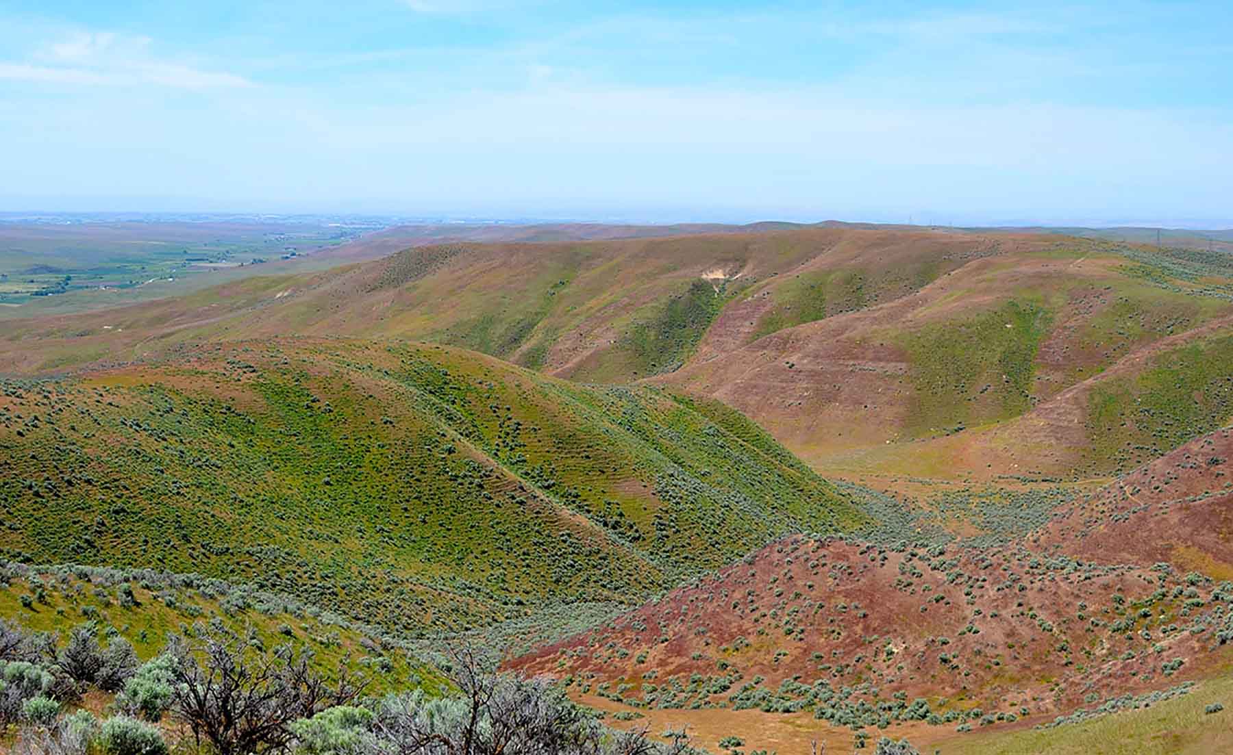 Little Willow Creek Ranch property picture 44 of 86