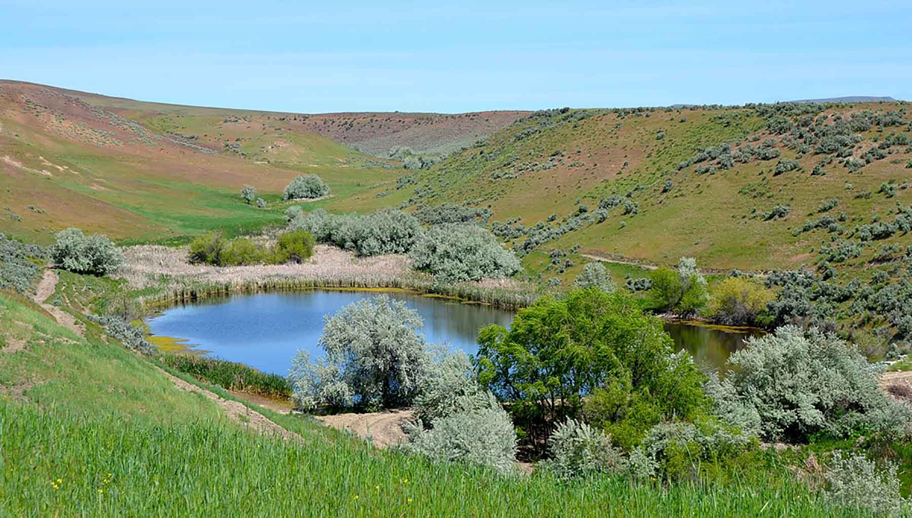 Little Willow Creek Ranch property picture 45 of 86