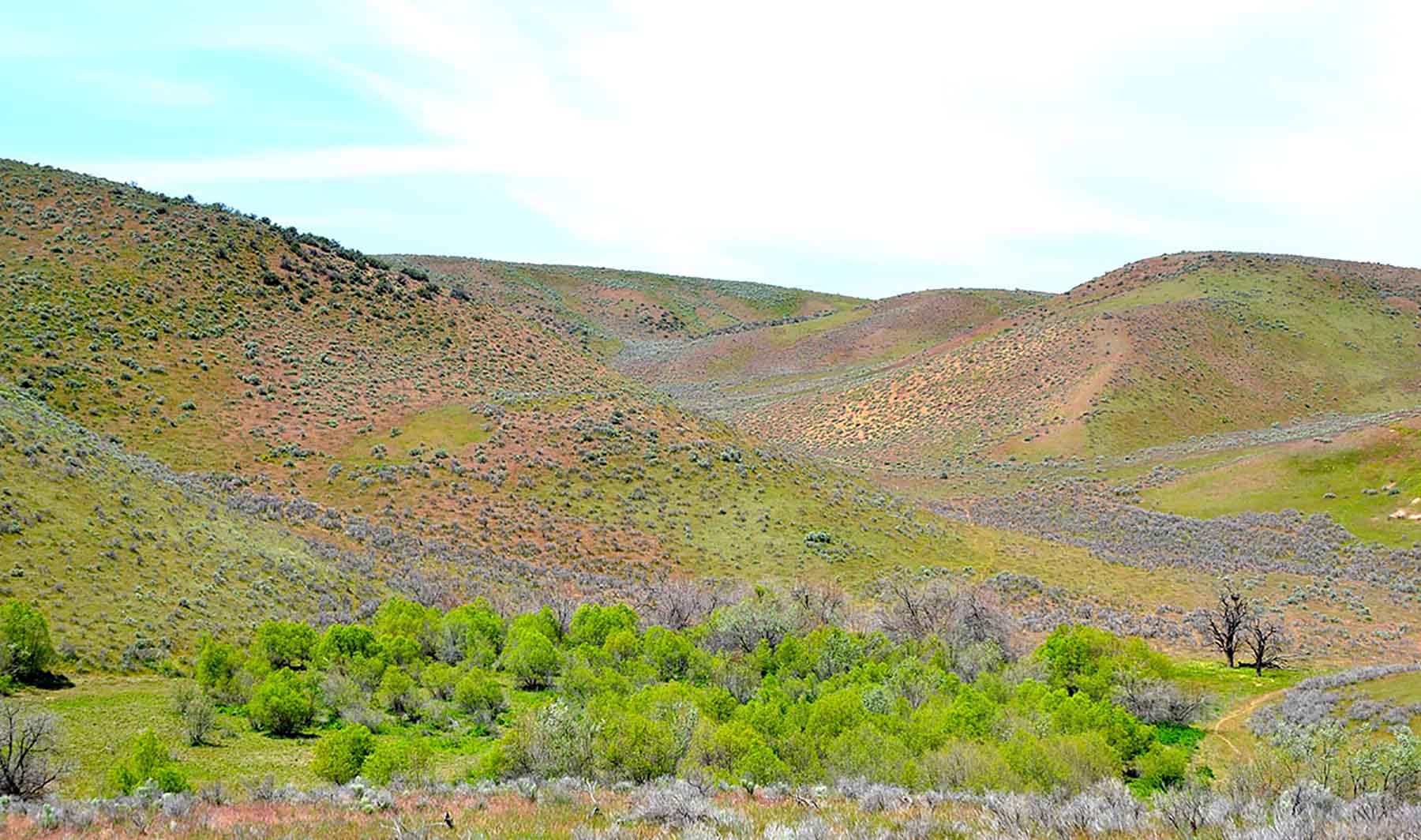 Little Willow Creek Ranch property picture 47 of 86