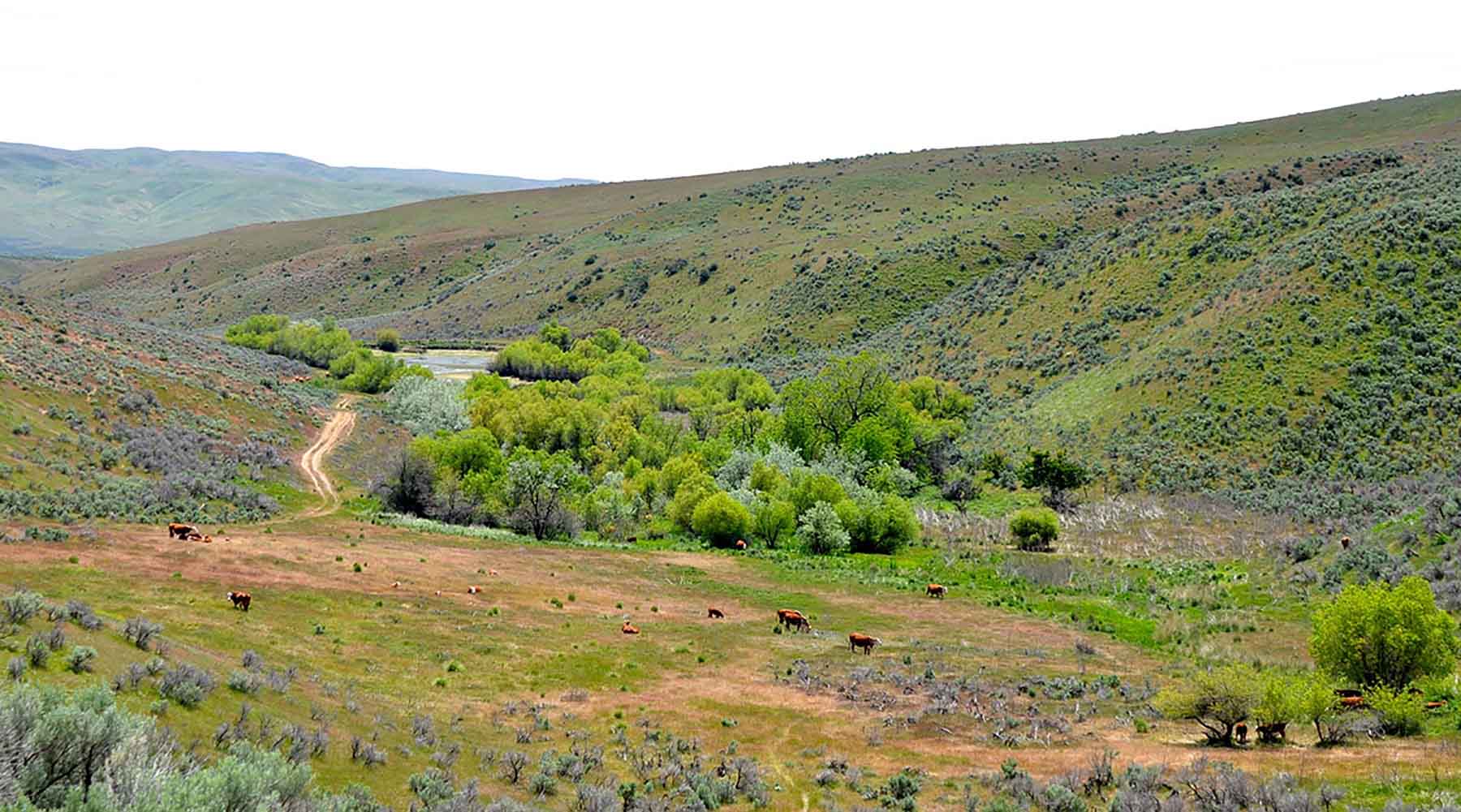 Little Willow Creek Ranch property picture 49 of 86