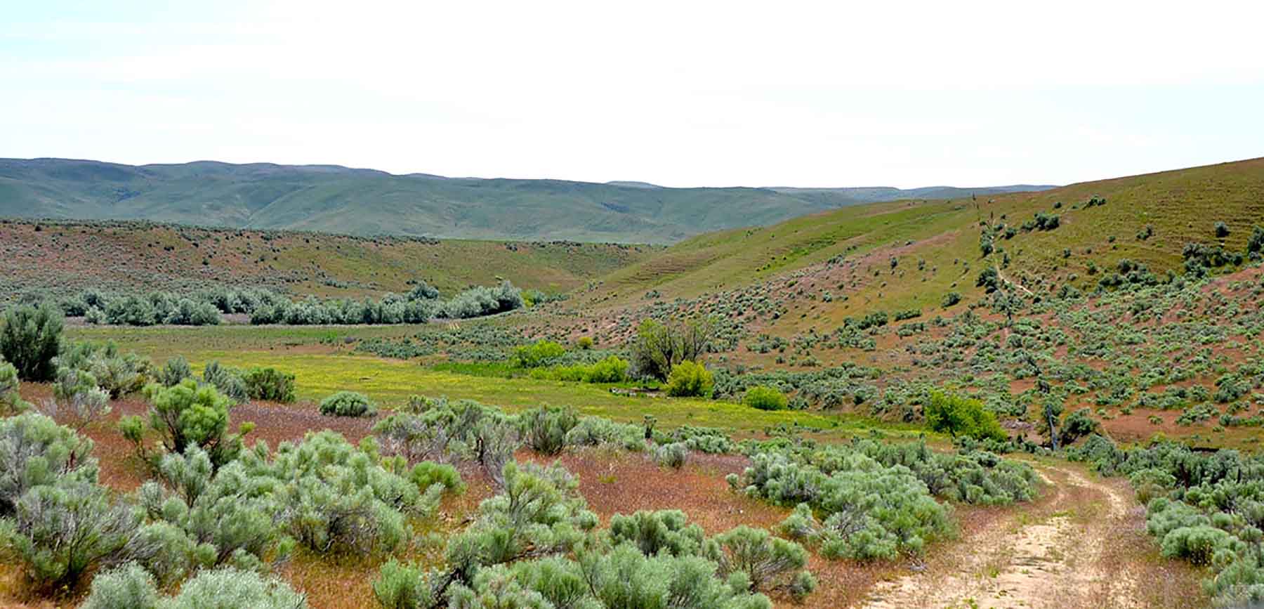 Little Willow Creek Ranch property picture 50 of 86