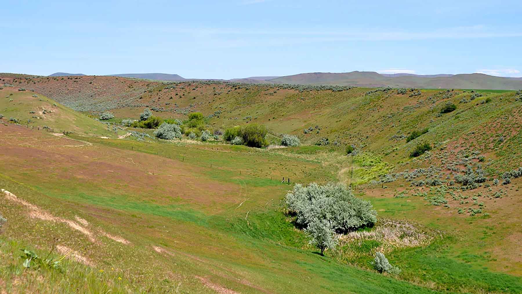 Little Willow Creek Ranch property picture 51 of 86