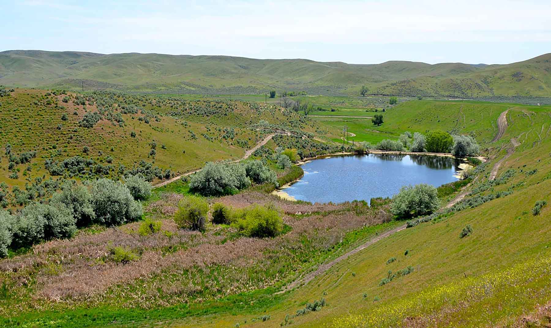 Little Willow Creek Ranch property picture 52 of 86